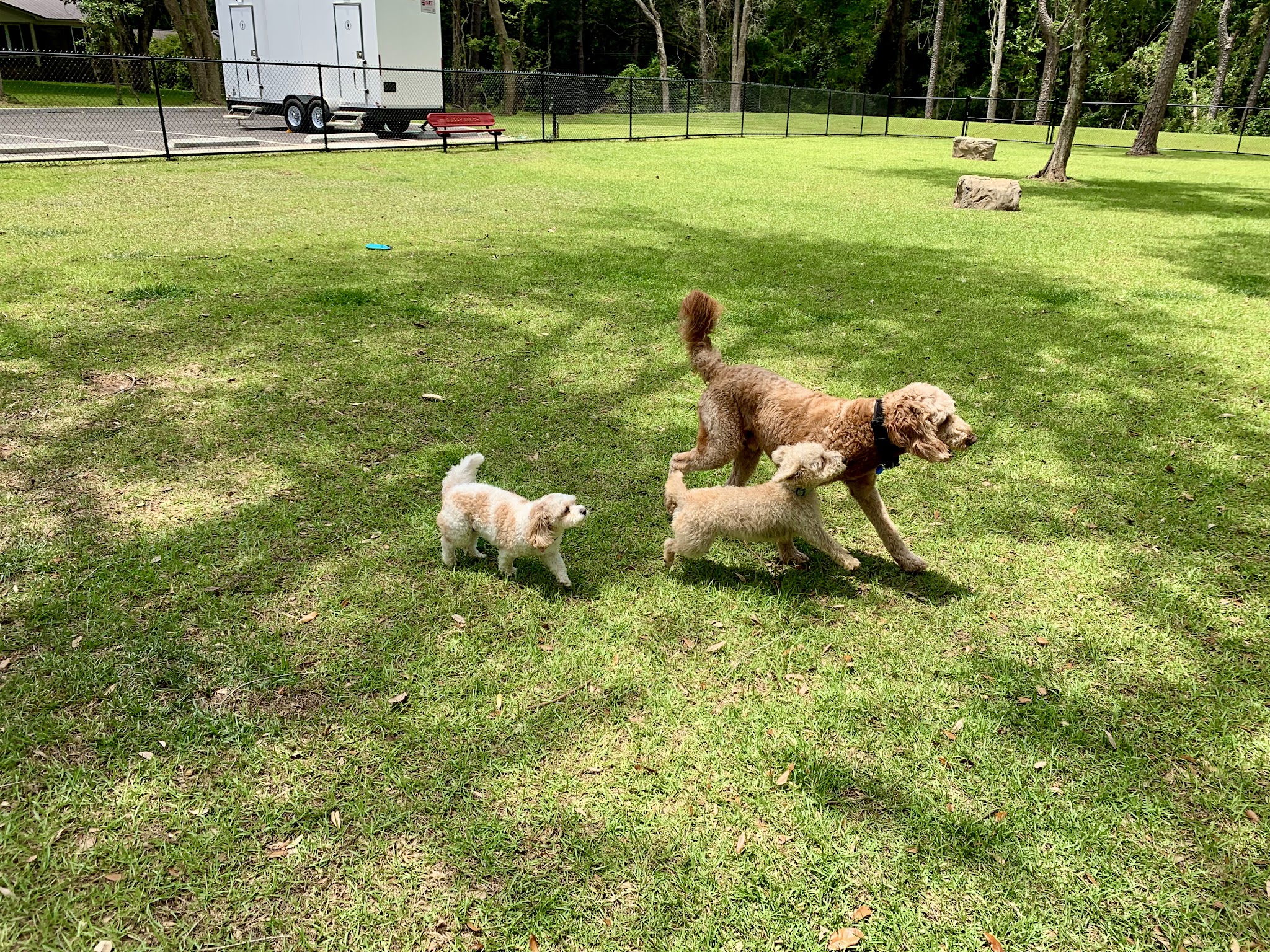 Loyalty Dog Park - Spanish Fort, AL