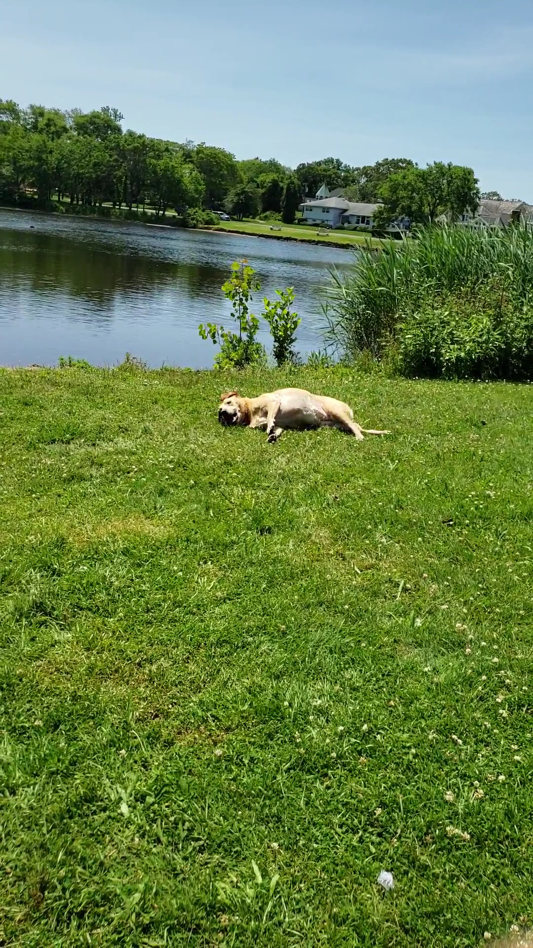 Marucci Memorial Park - Spring Lake, NJ