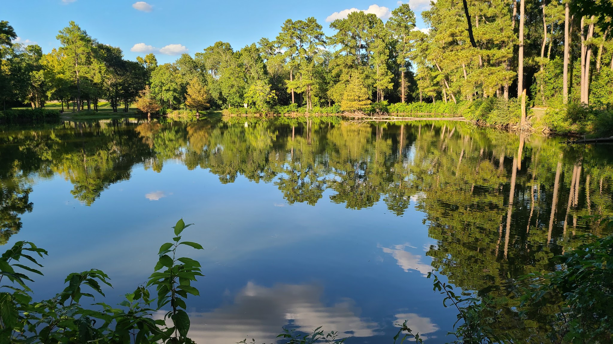 Meyer Park - Spring, TX