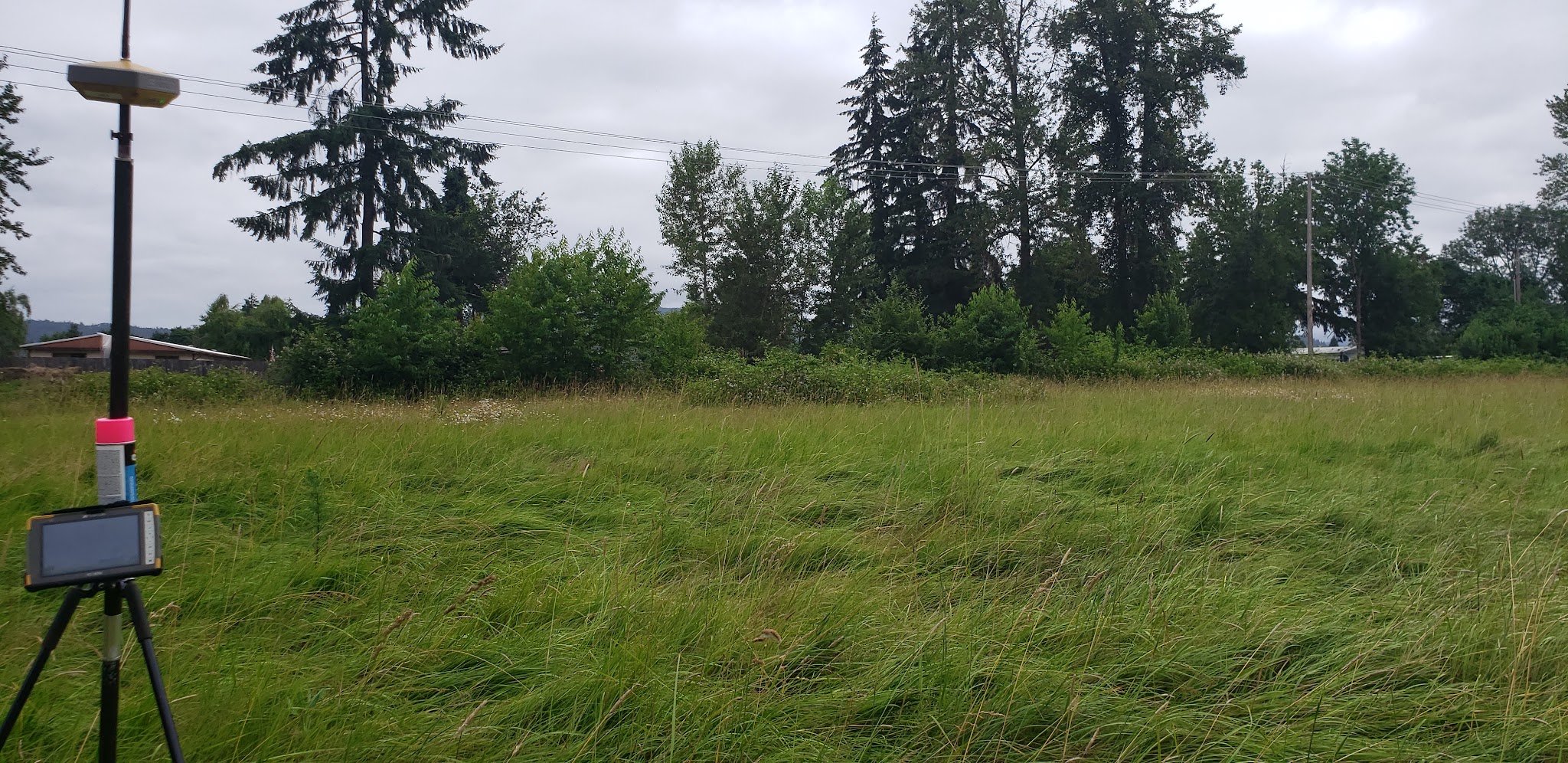 Bluebelle Park - Springfield, OR