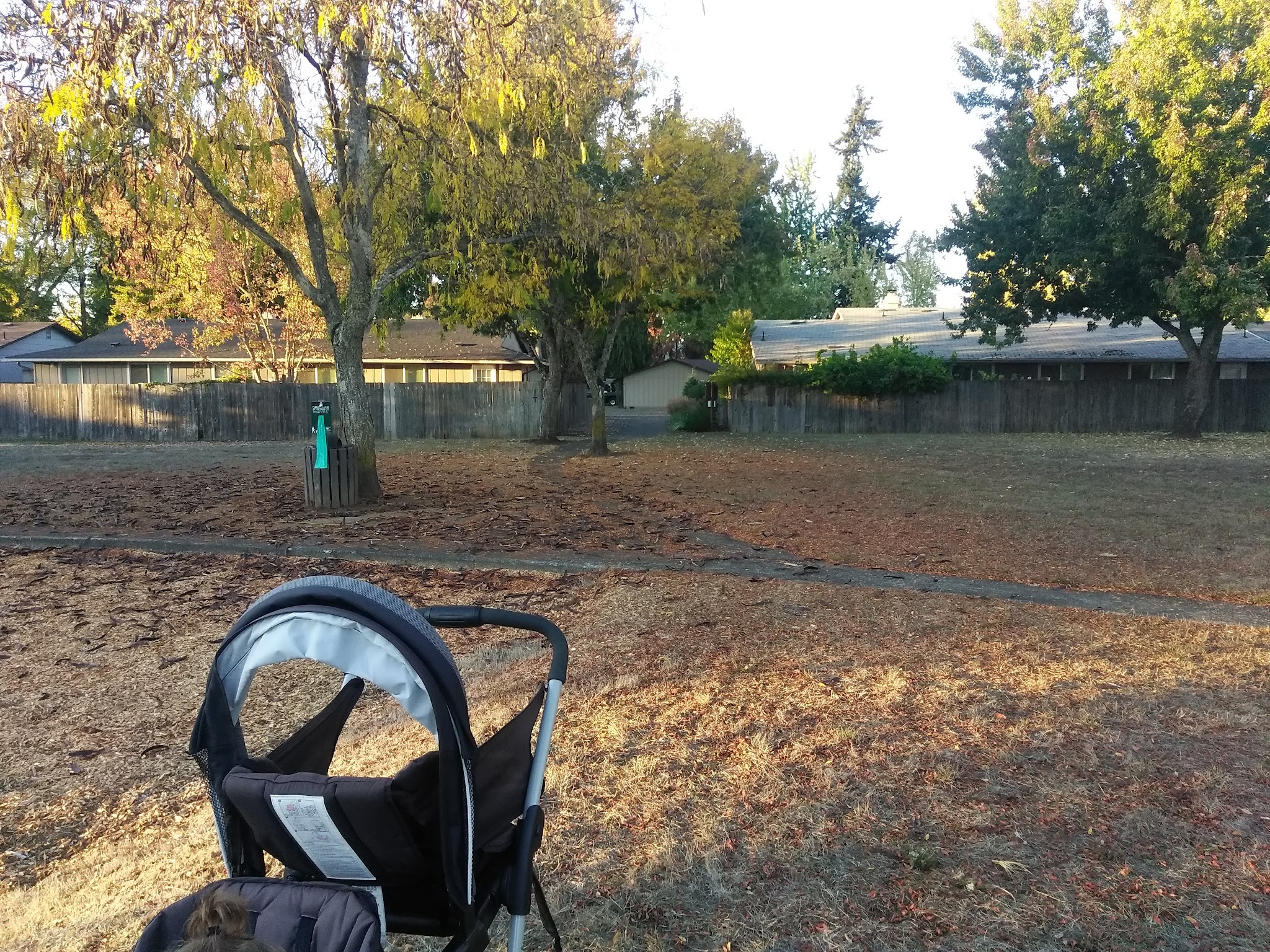 Bluebelle Park - Springfield, OR