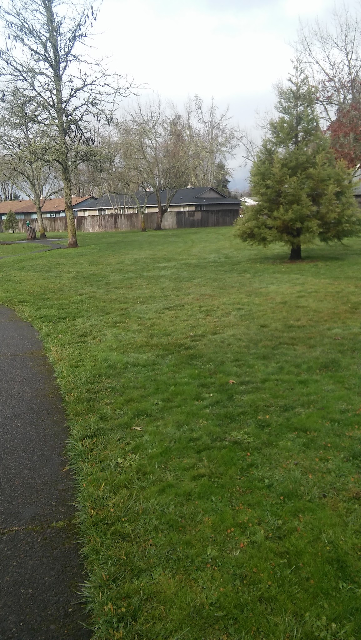 Bluebelle Park - Springfield, OR