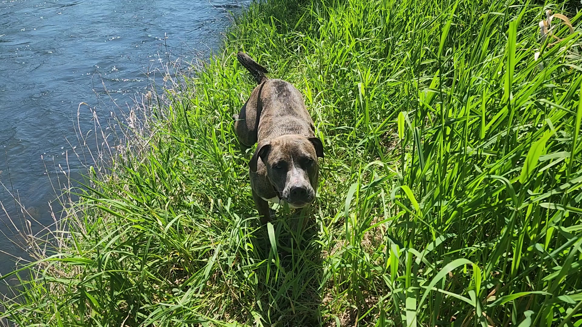 Dorris Ranch - Springfield, OR