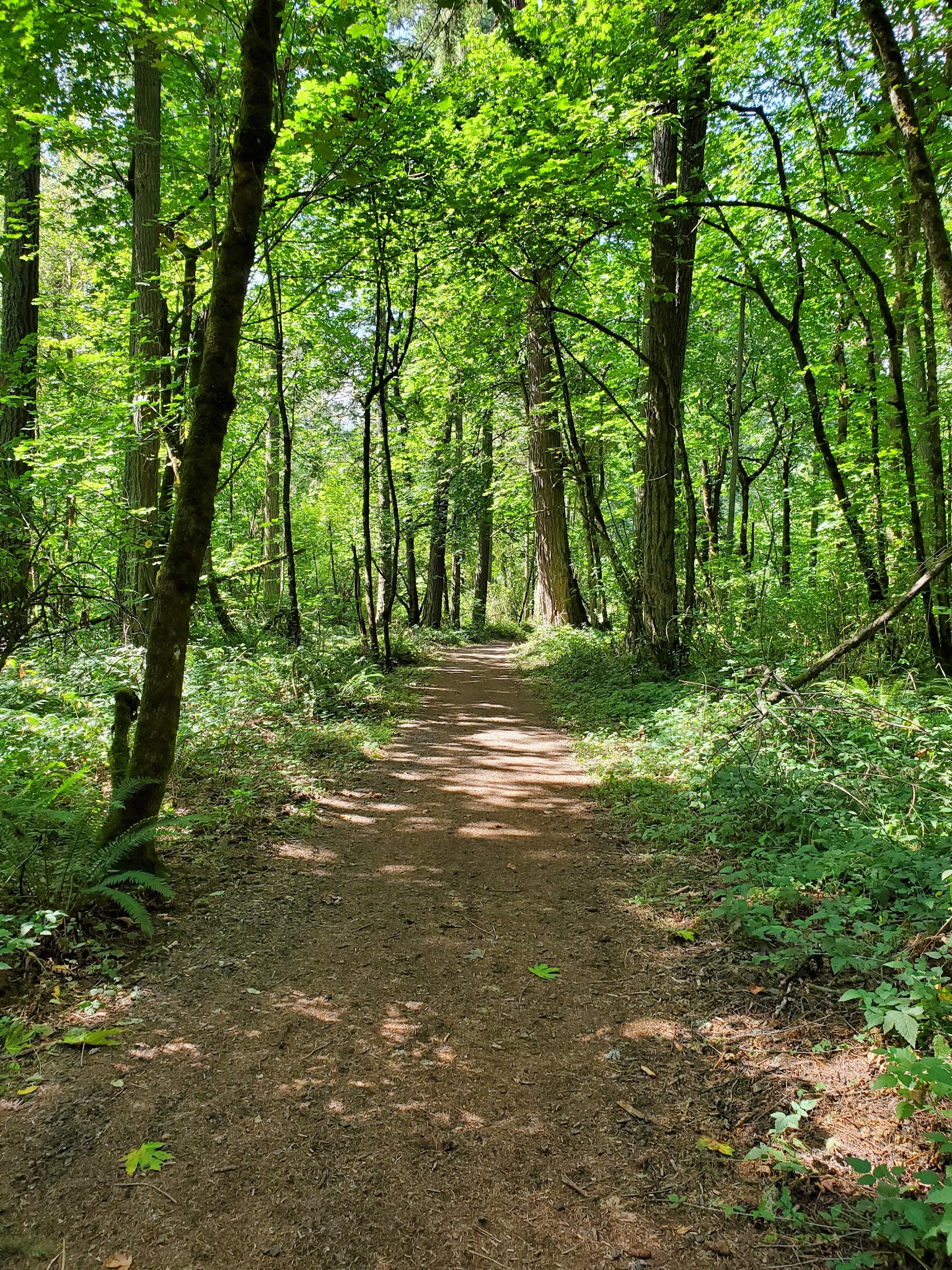 Dorris Ranch - Springfield, OR