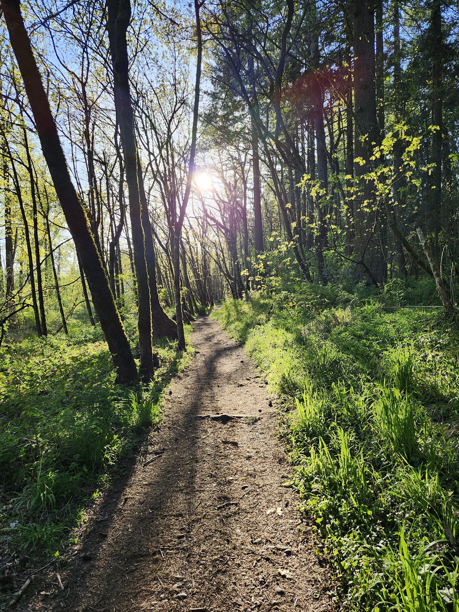 Dorris Ranch - Springfield, OR