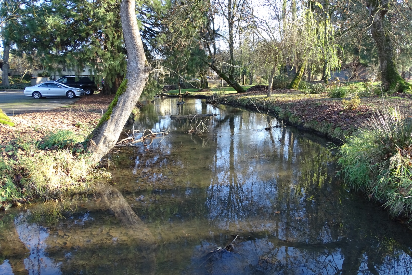 Island Park - Springfield, OR