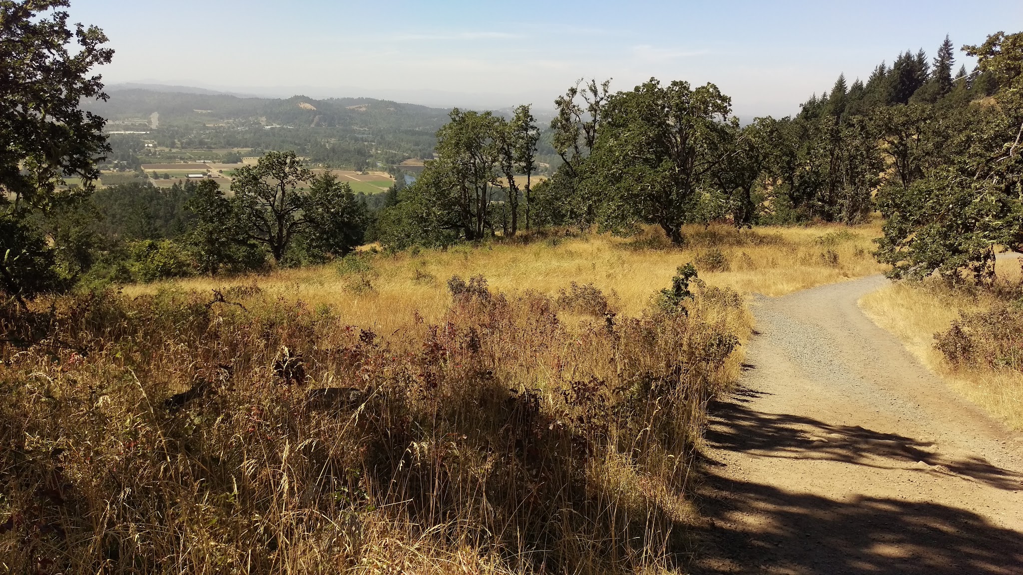 Jasper Meadows - Springfield, OR