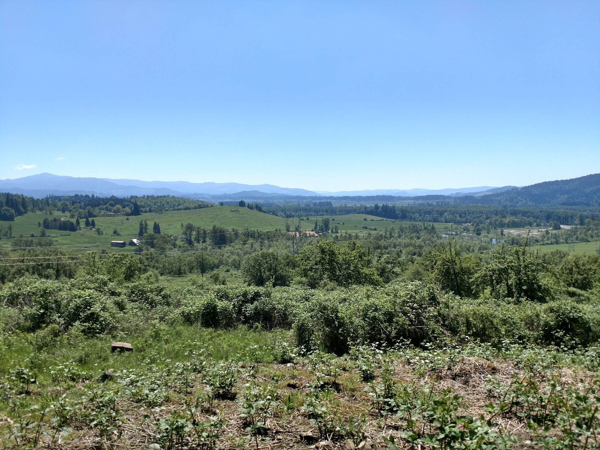 Jasper Meadows - Springfield, OR