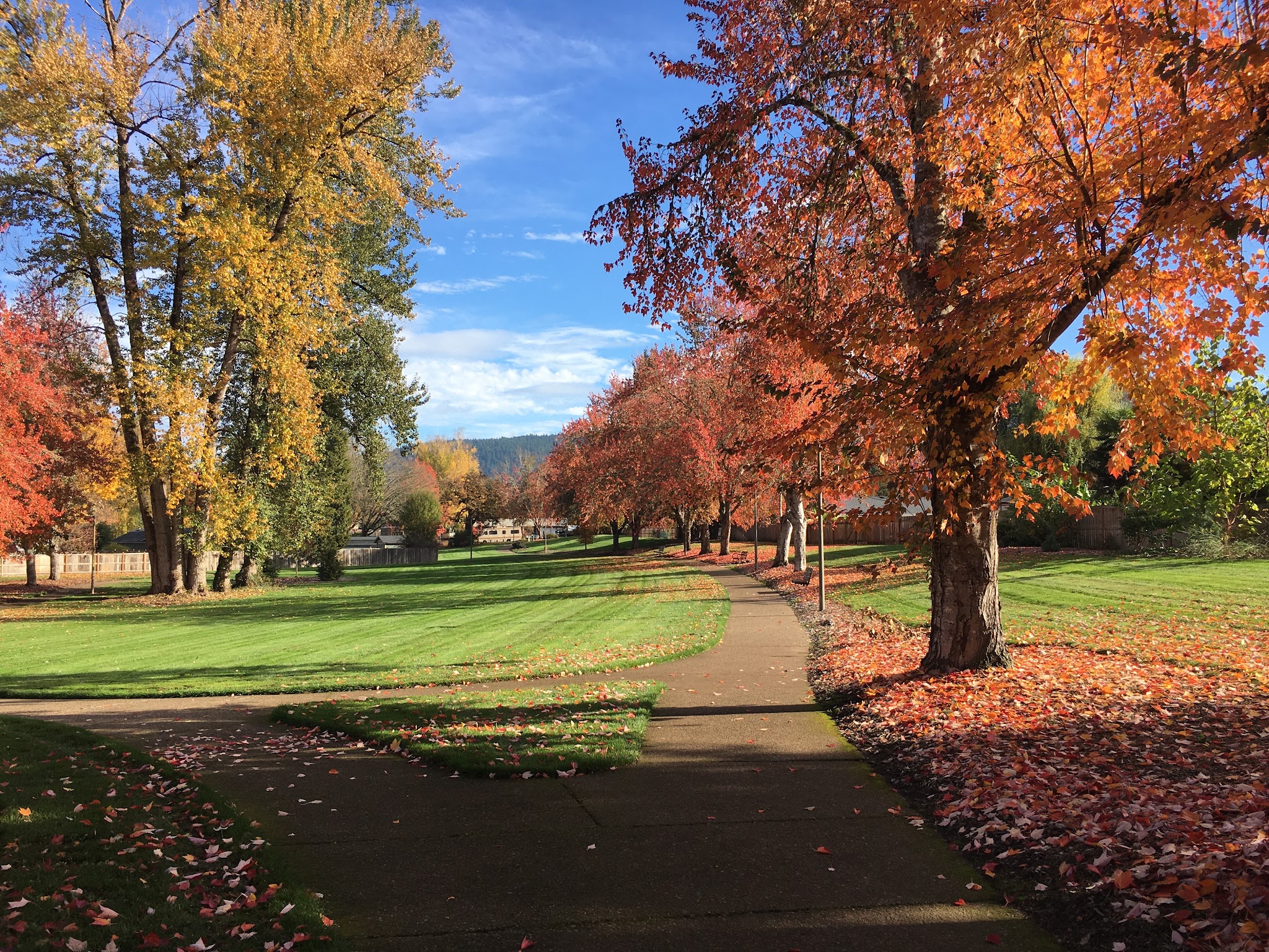 Thurston Park - Springfield, OR