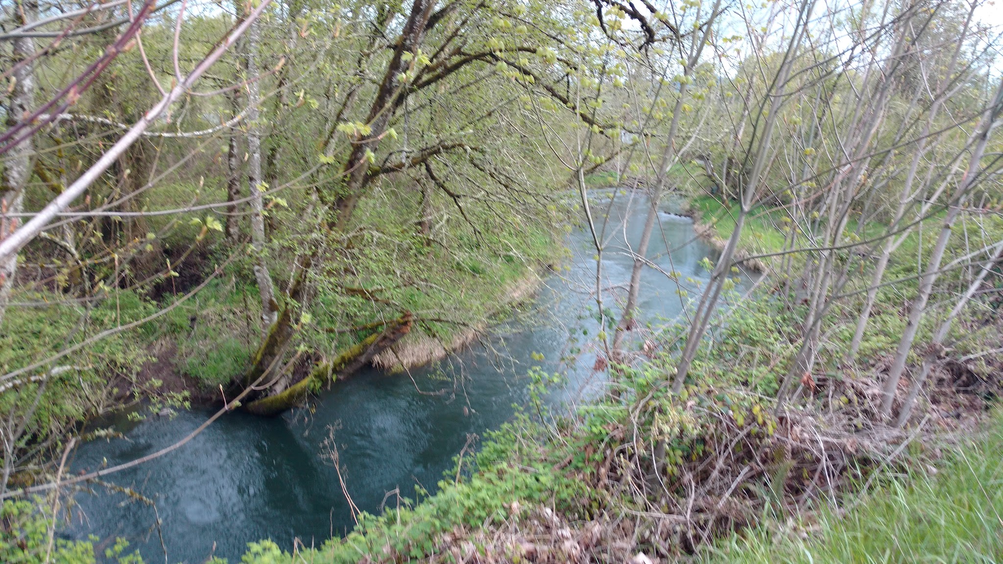 Willamalane Preservation Park - Springfield, OR