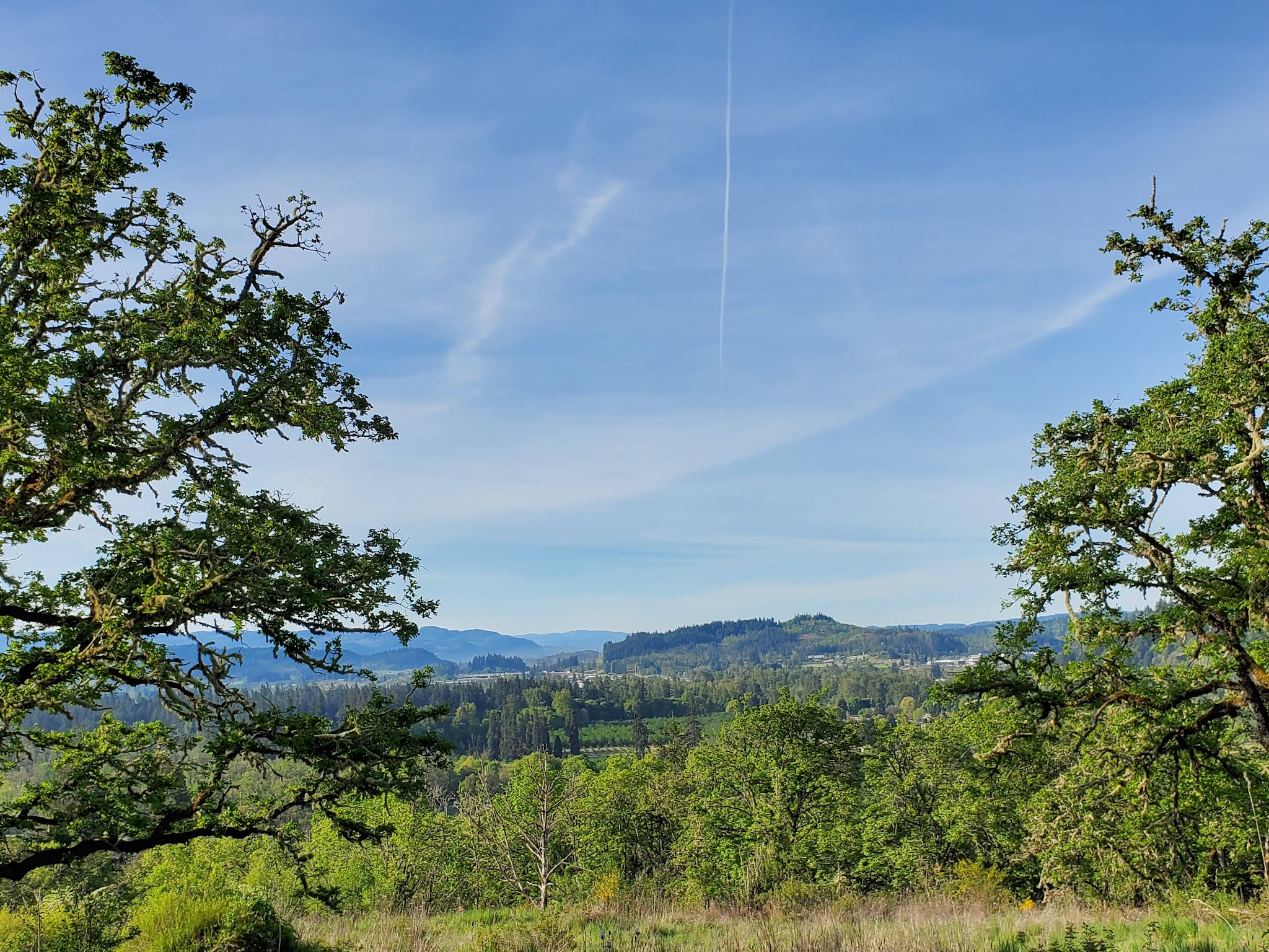 Willamette Heights Park - Springfield, OR