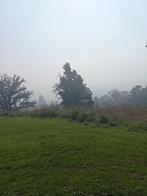 Willamette Heights Park - Springfield, OR