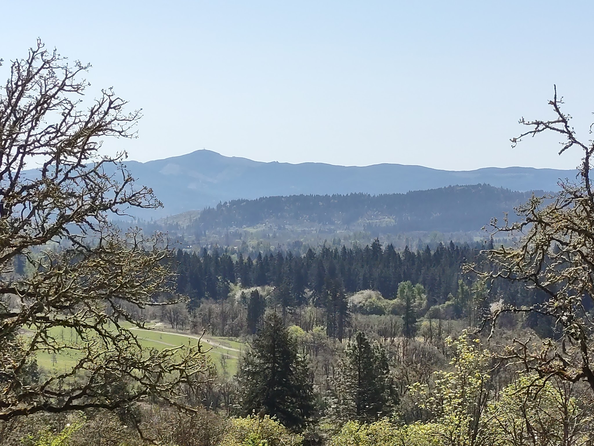 Willamette Heights Park - Springfield, OR