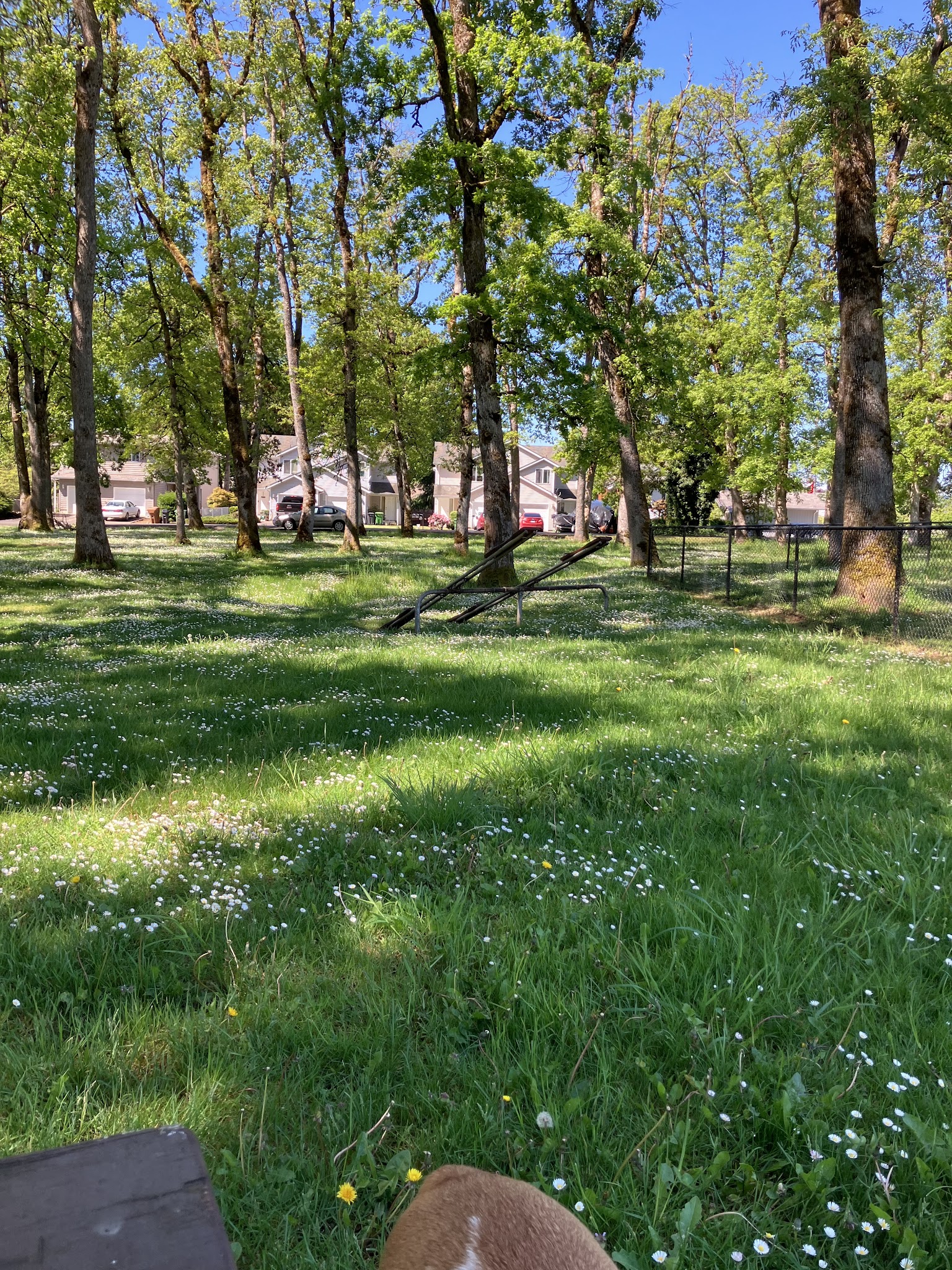 St. Helens: Dog Park - St Helens, OR