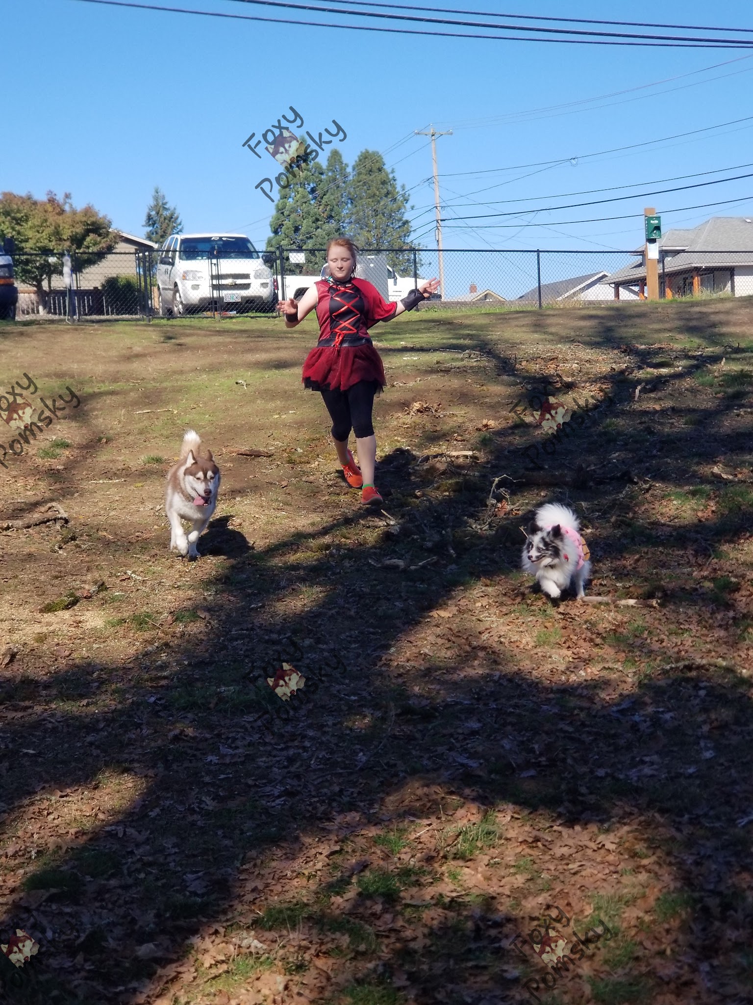 St. Helens: Dog Park - St Helens, OR