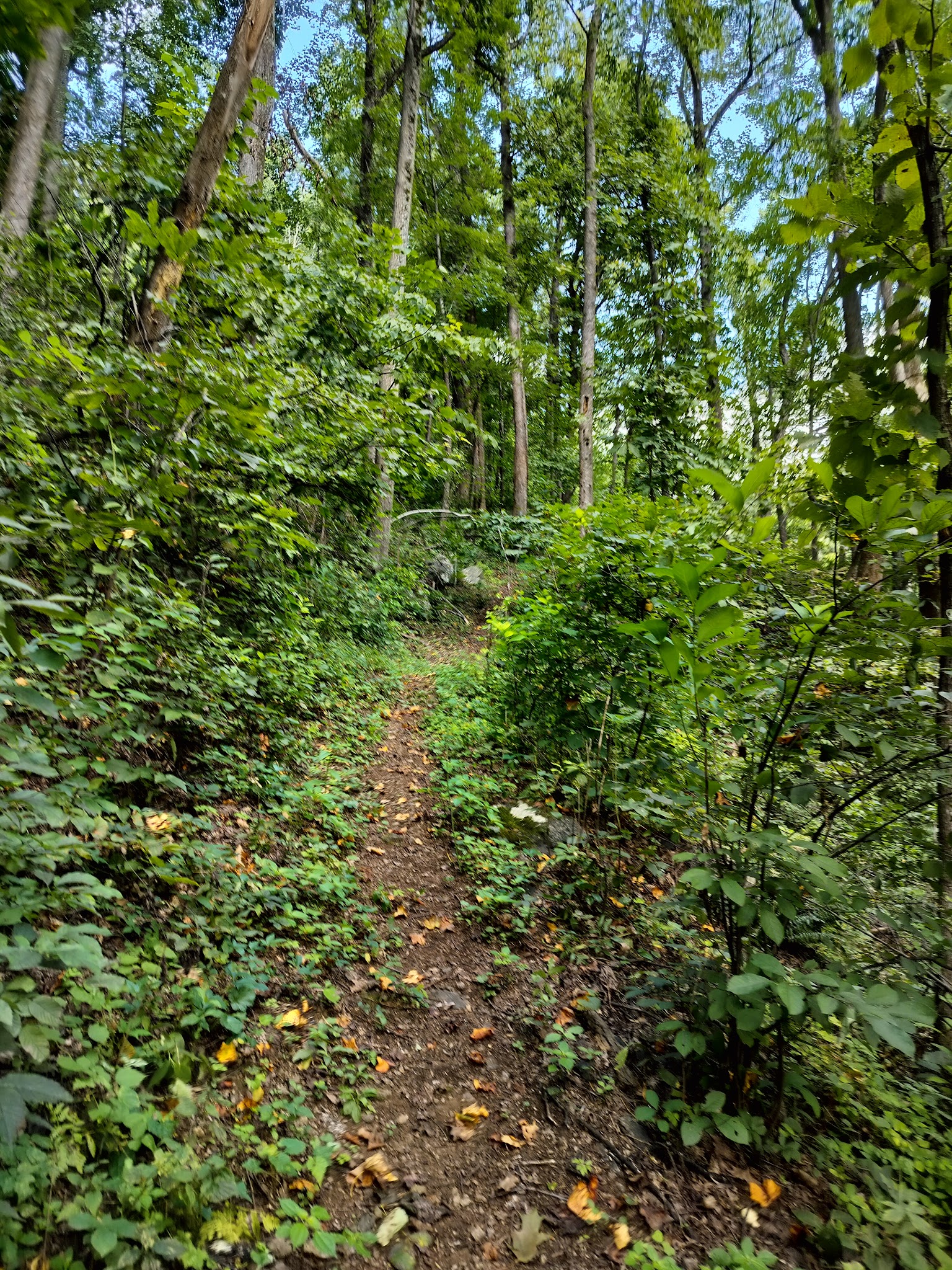 Entry Run Trail Parking - Stanardsville, VA