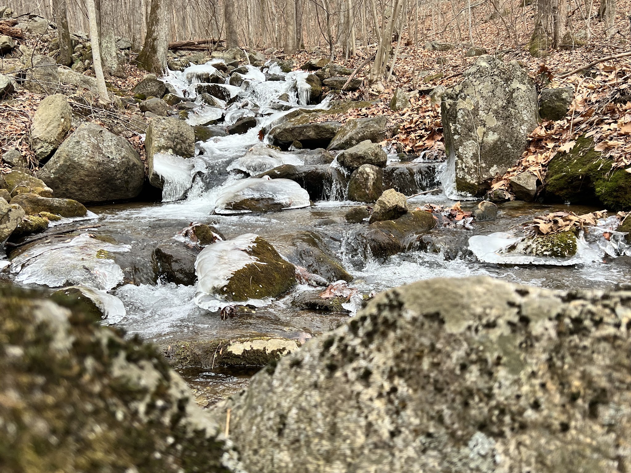 Entry Run Trail Parking - Stanardsville, VA