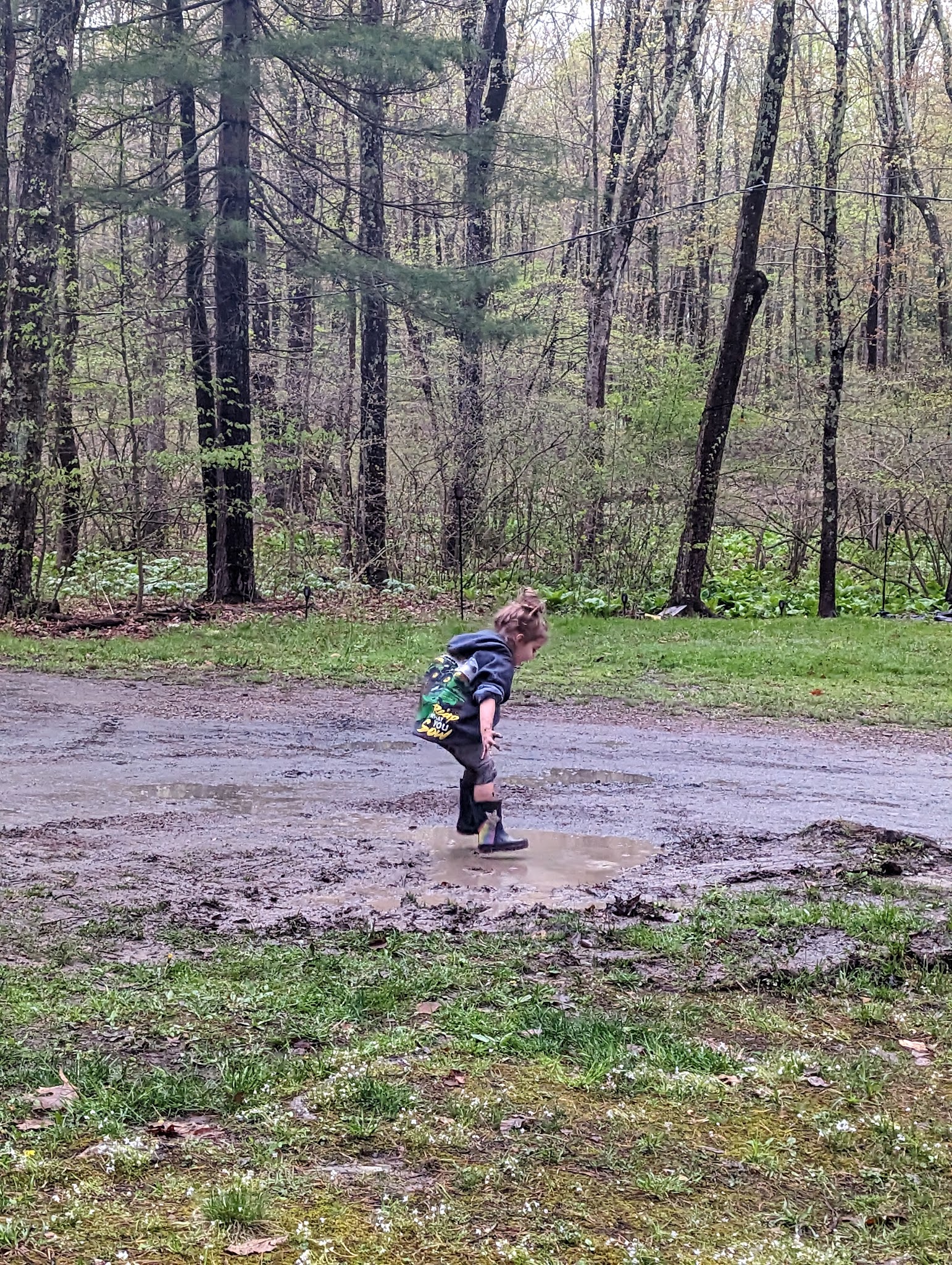 Wanna Ruf It Campground - Stillwater, PA