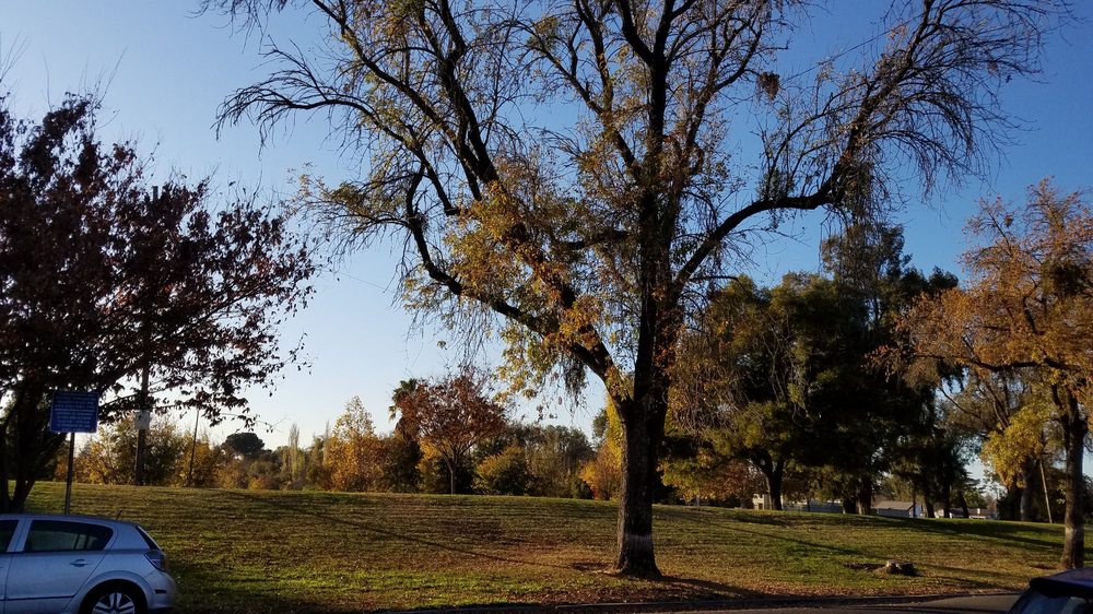 American Legion Park - Stockton, CA
