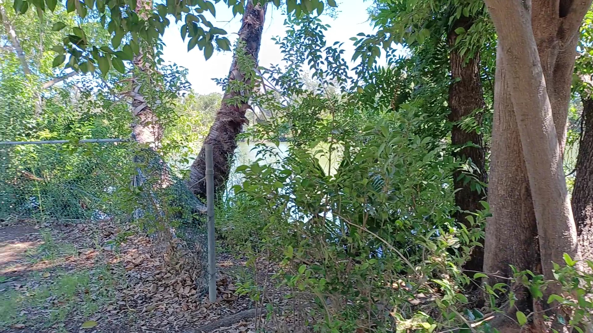 American Legion Park - Stockton, CA