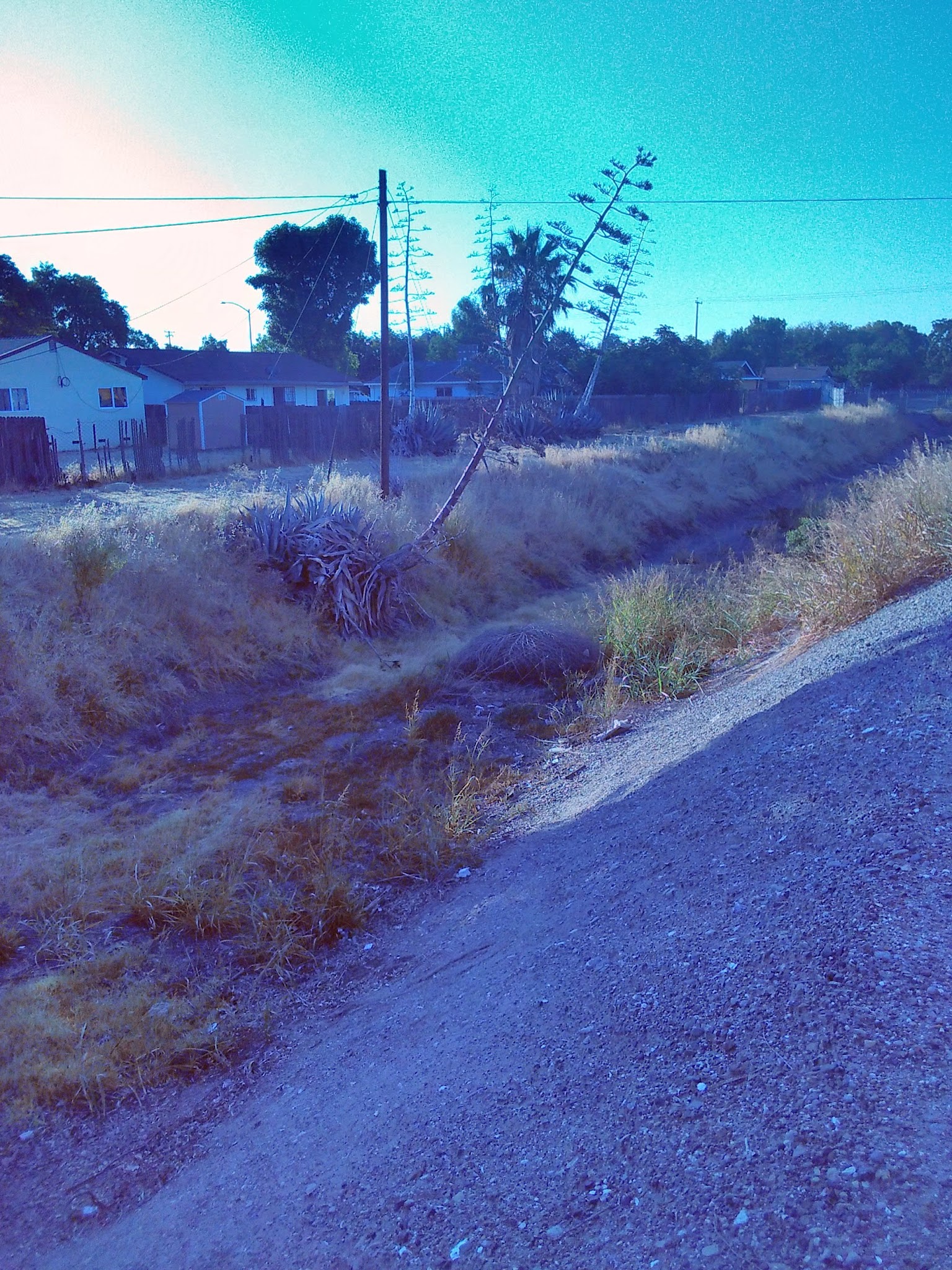 Reverend Peterson Park - Stockton, CA