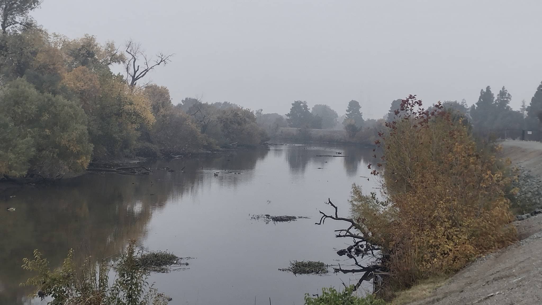 Van Buskirk Park - Stockton, CA