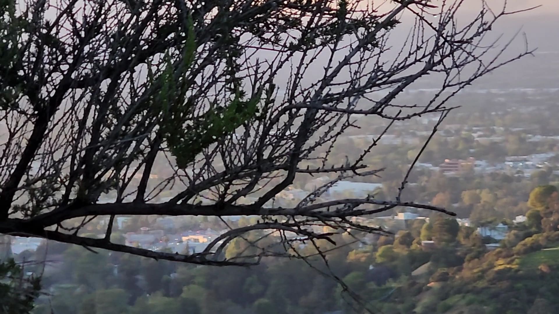 Fryman Canyon Park - Studio City, CA