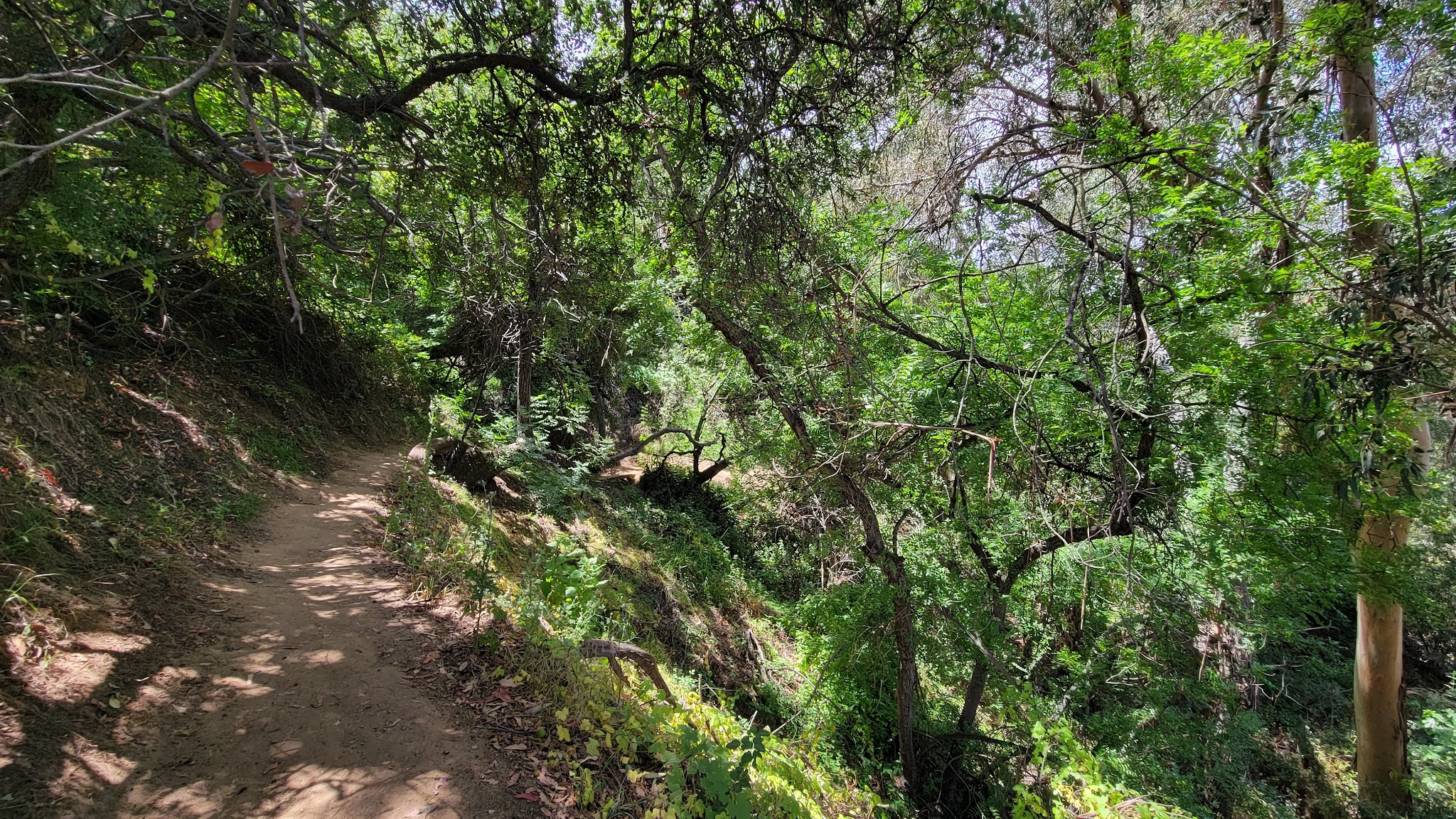 Fryman Canyon Park - Studio City, CA