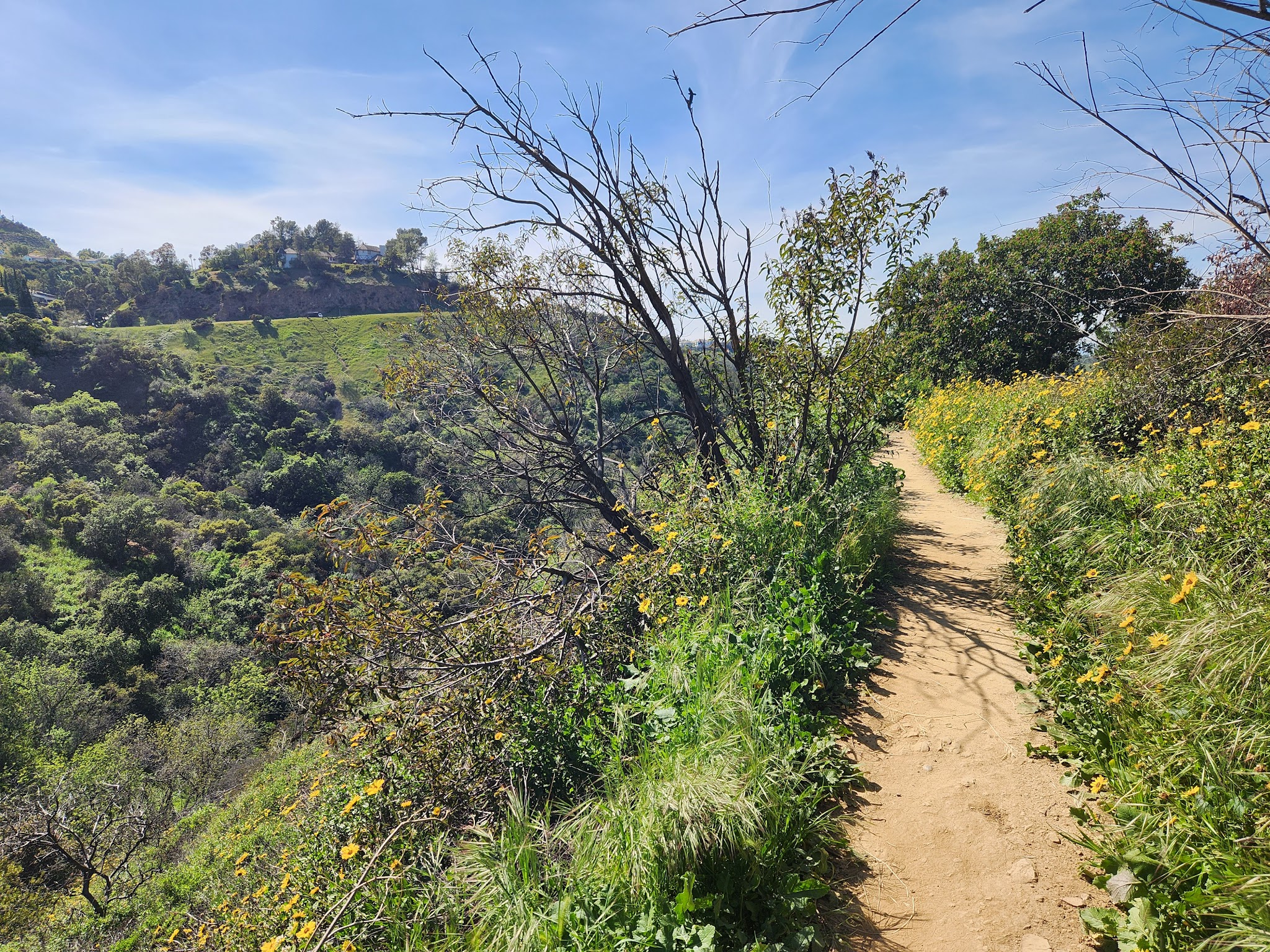 Fryman Canyon Park - Studio City, CA