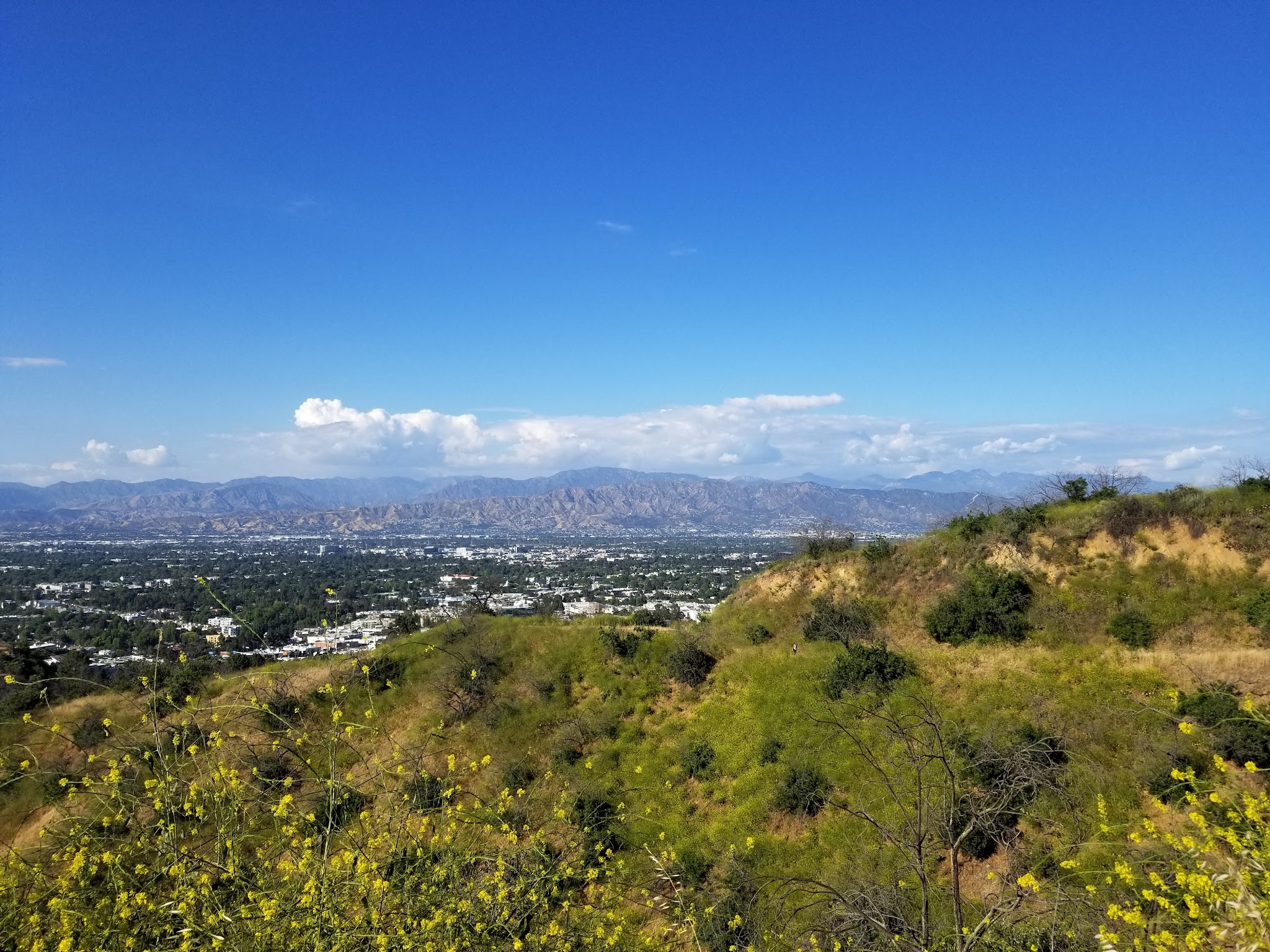 Wilacre Park, Mountains Recreation & Conservation Authority - Studio City, CA