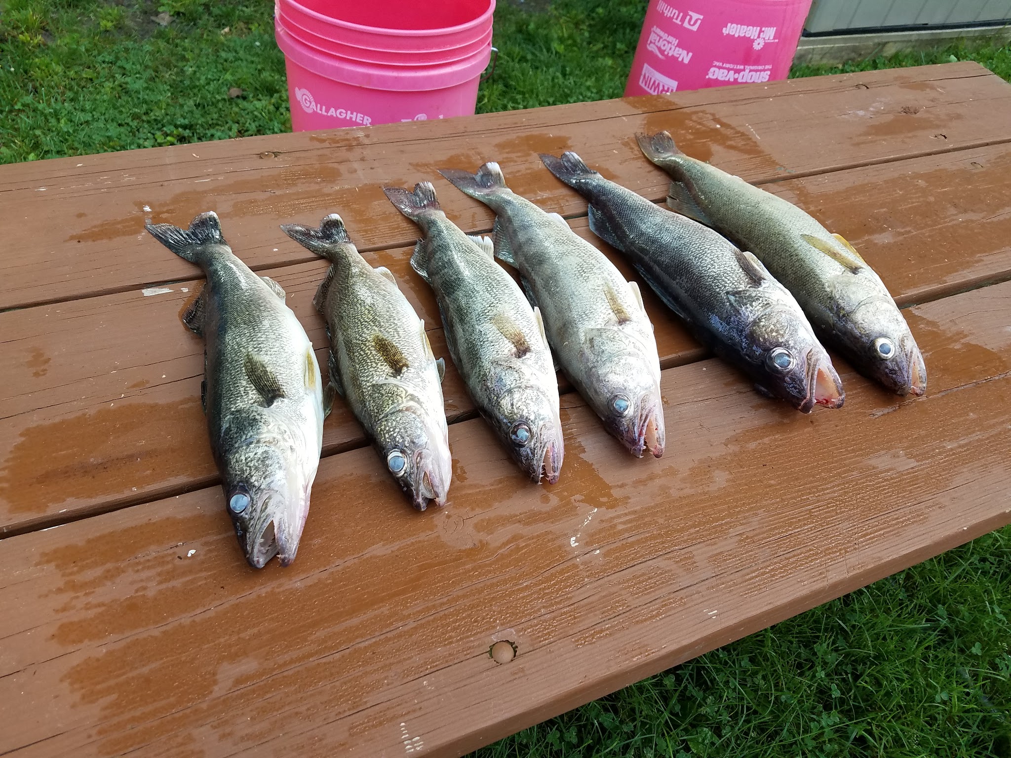 Lone Pine Campgrounds - Sylvan Beach, NY