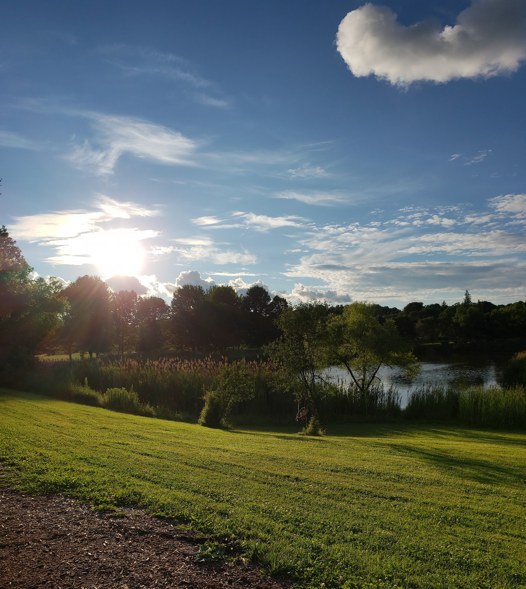 Barry Park - Syracuse, NY