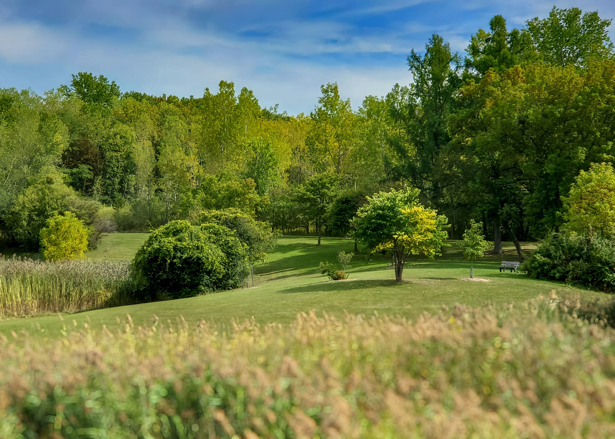 Barry Park - Syracuse, NY