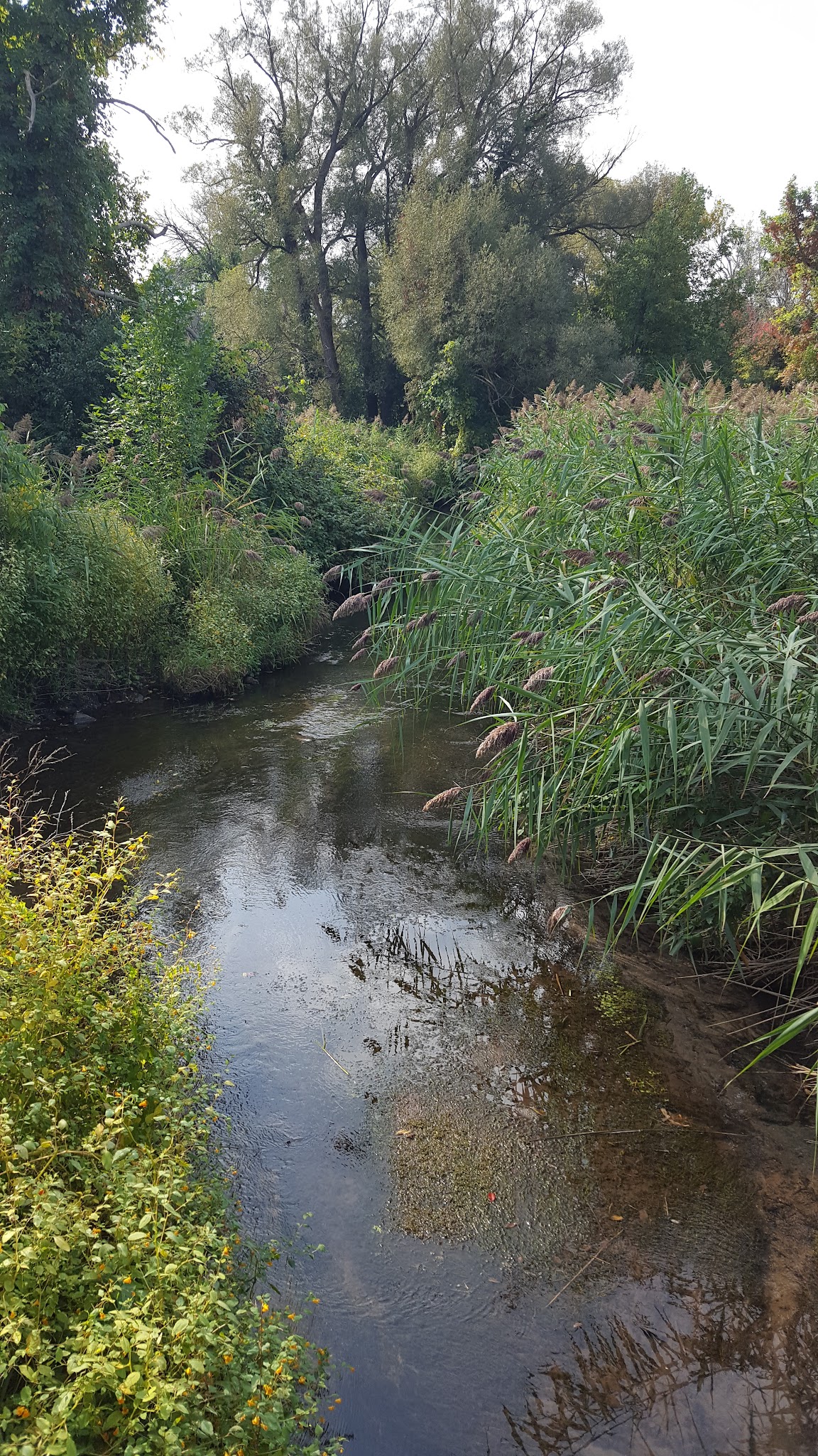 Bear Trap Creek Bikeway - Syracuse, NY