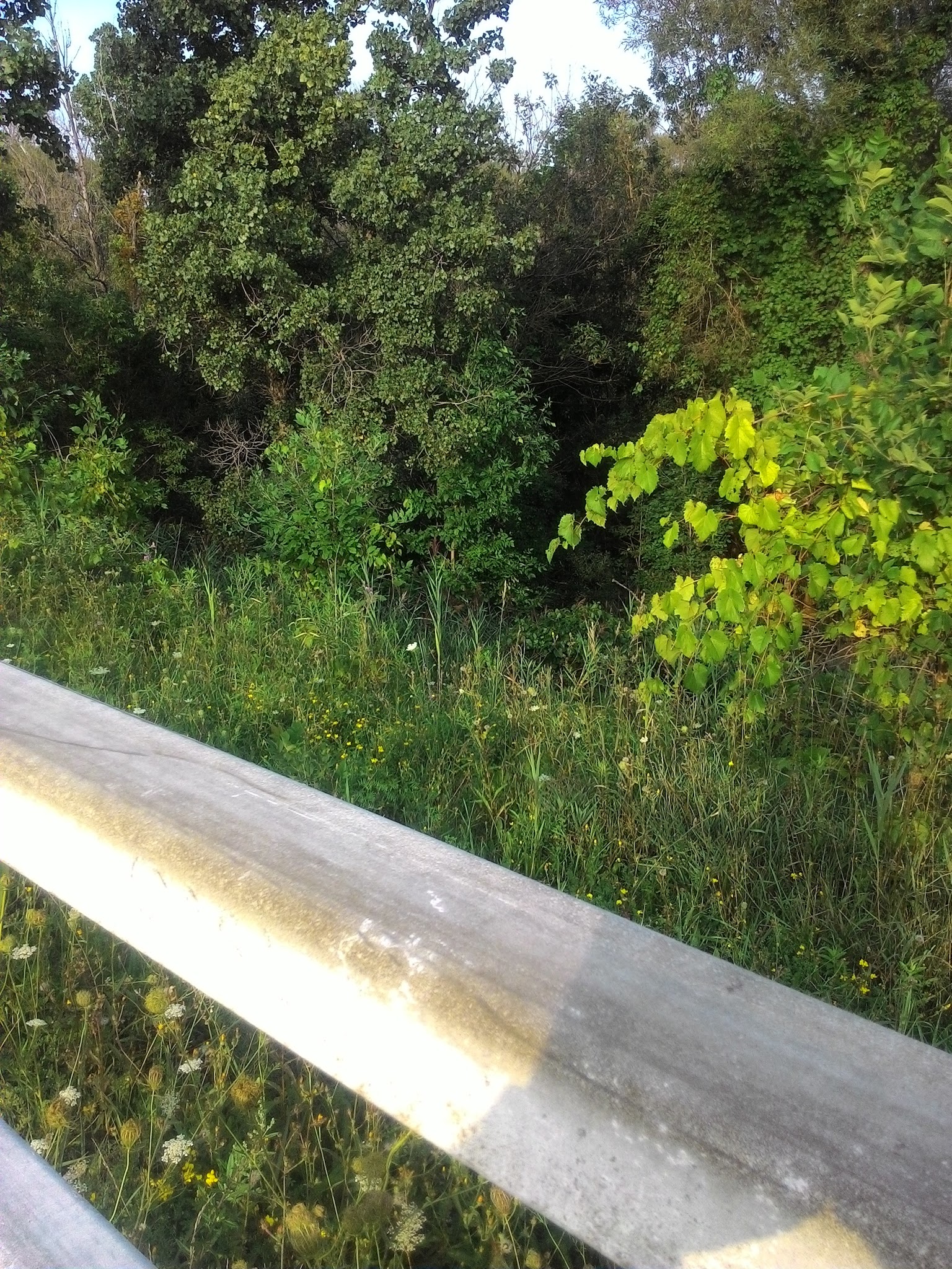 Bear Trap Creek Bikeway - Syracuse, NY