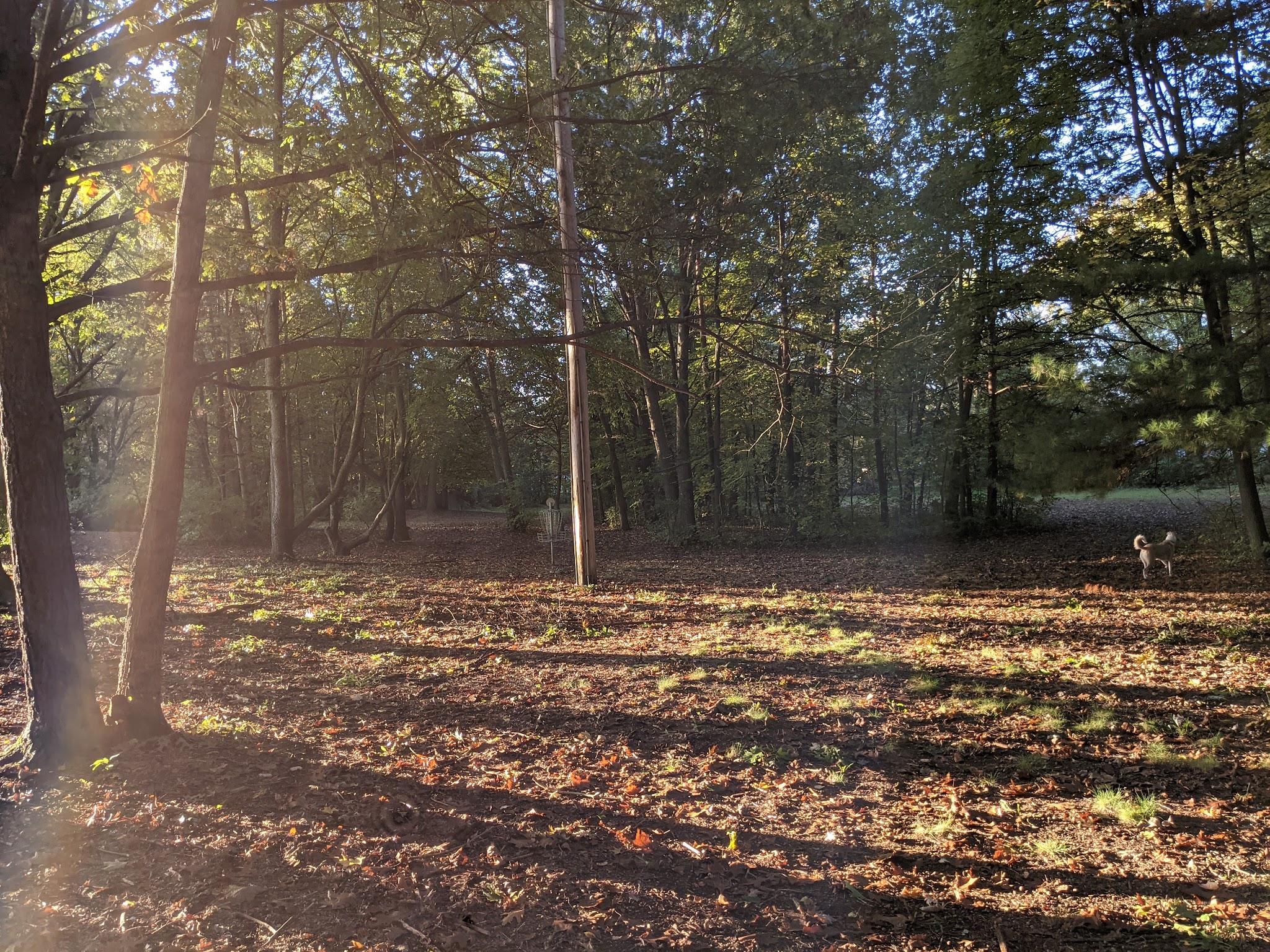 Dog Park at Heritage Park - Syracuse, NY