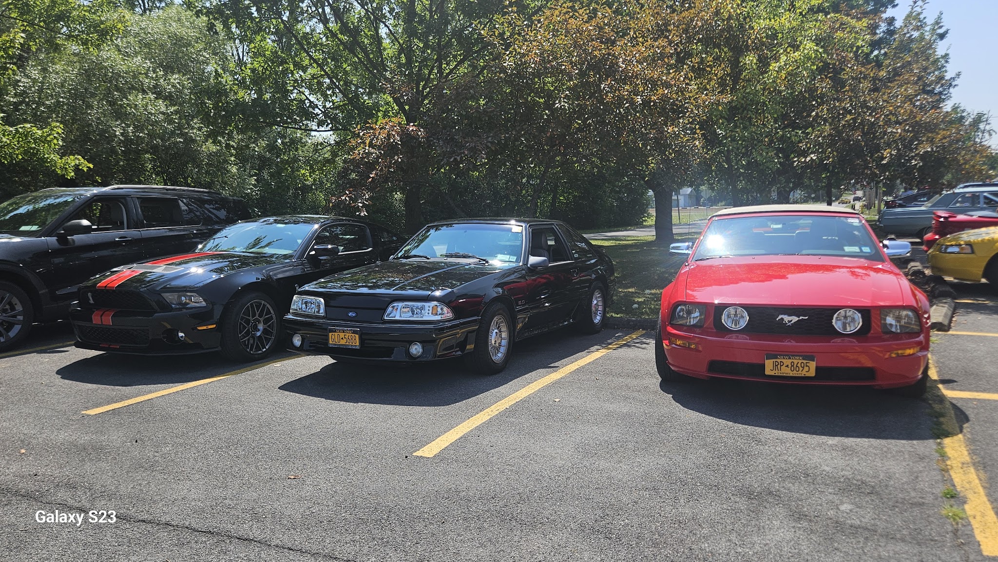 Lakeland Park - Syracuse, NY