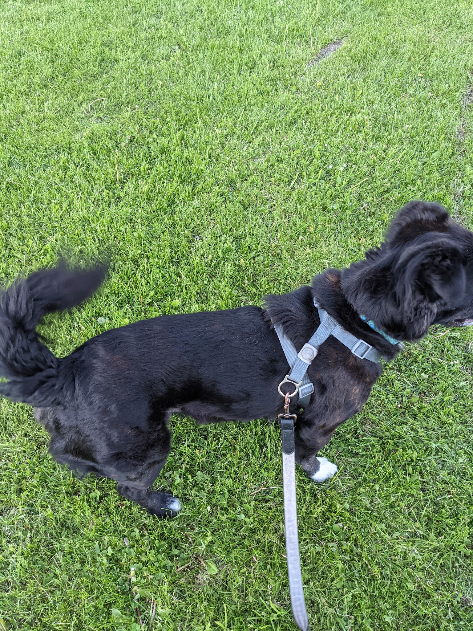 Lower Union Park - Syracuse, NY