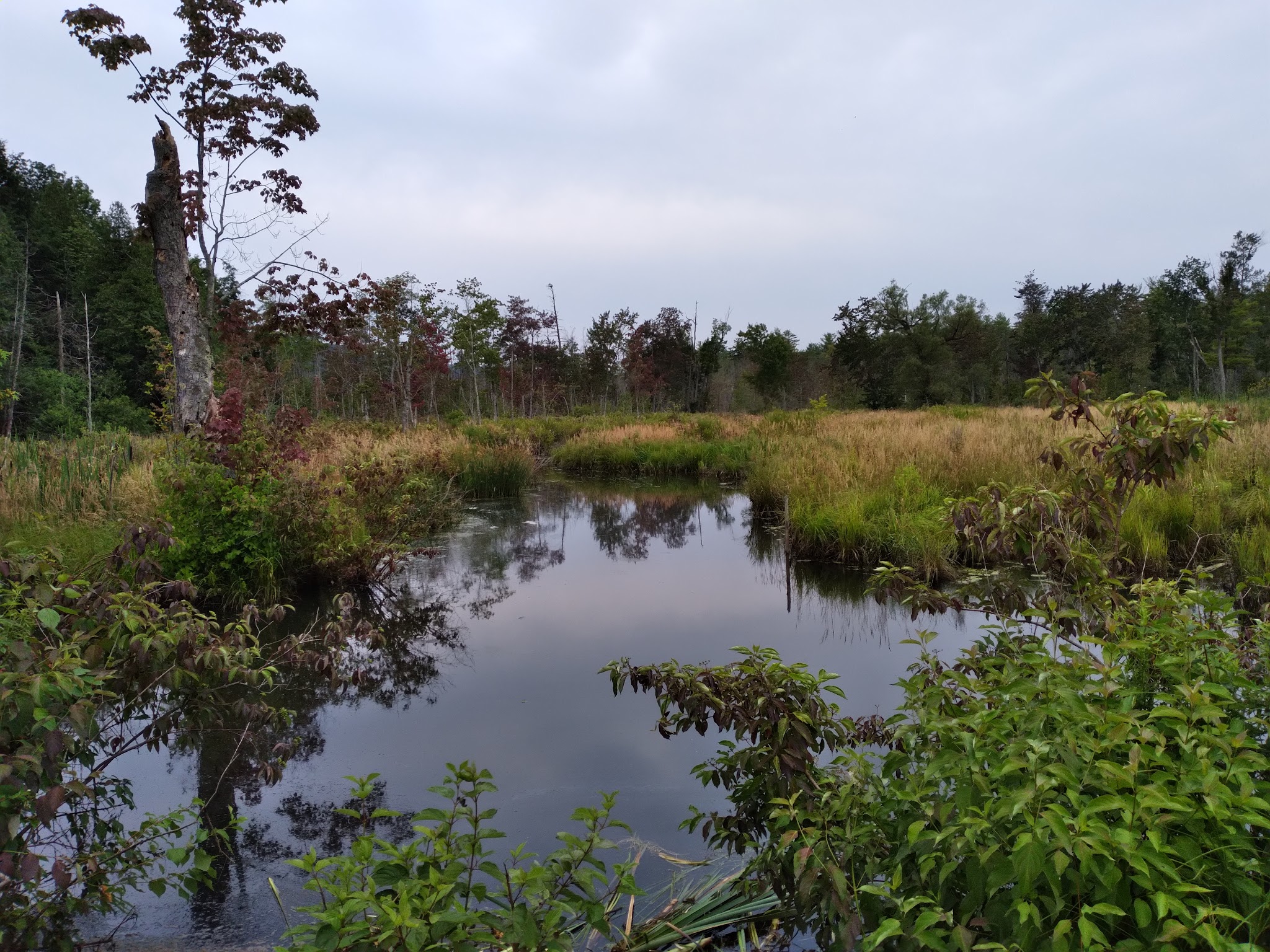 Pleasant Valley Preserve - Syracuse, NY