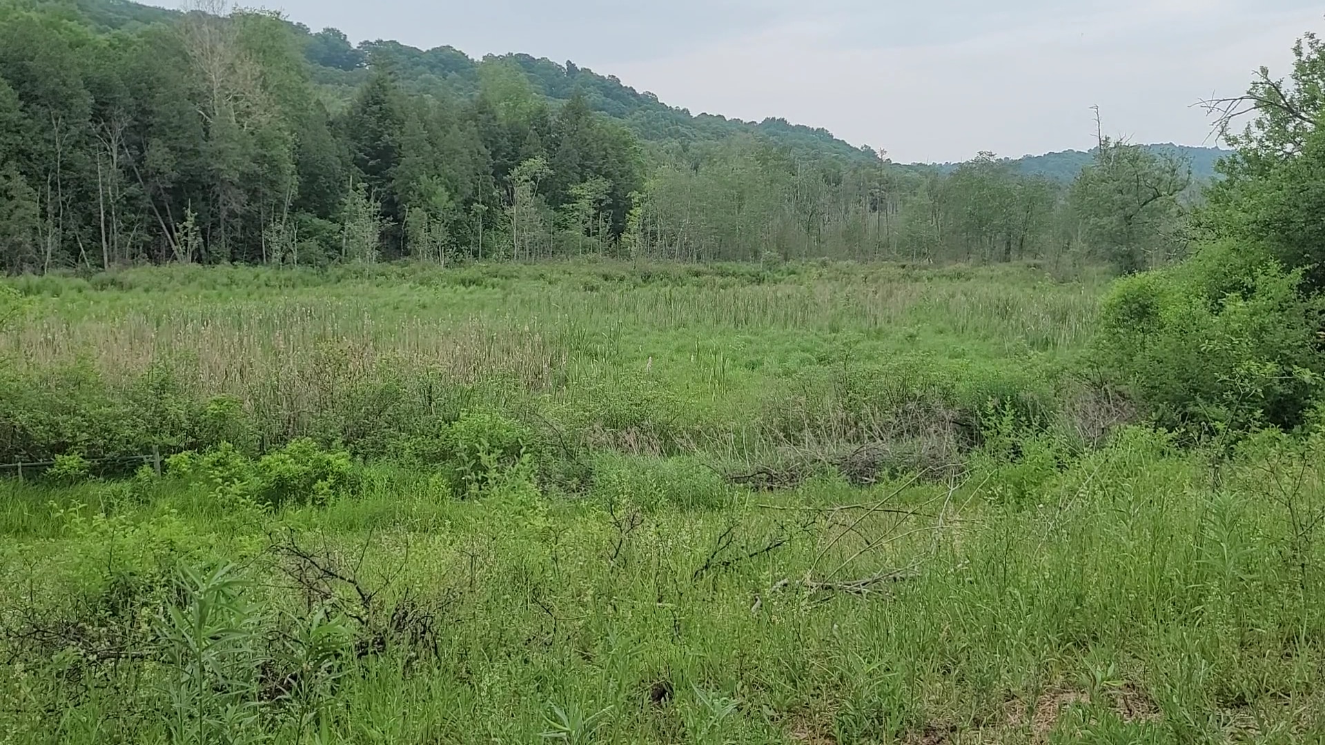 Pleasant Valley Preserve - Syracuse, NY