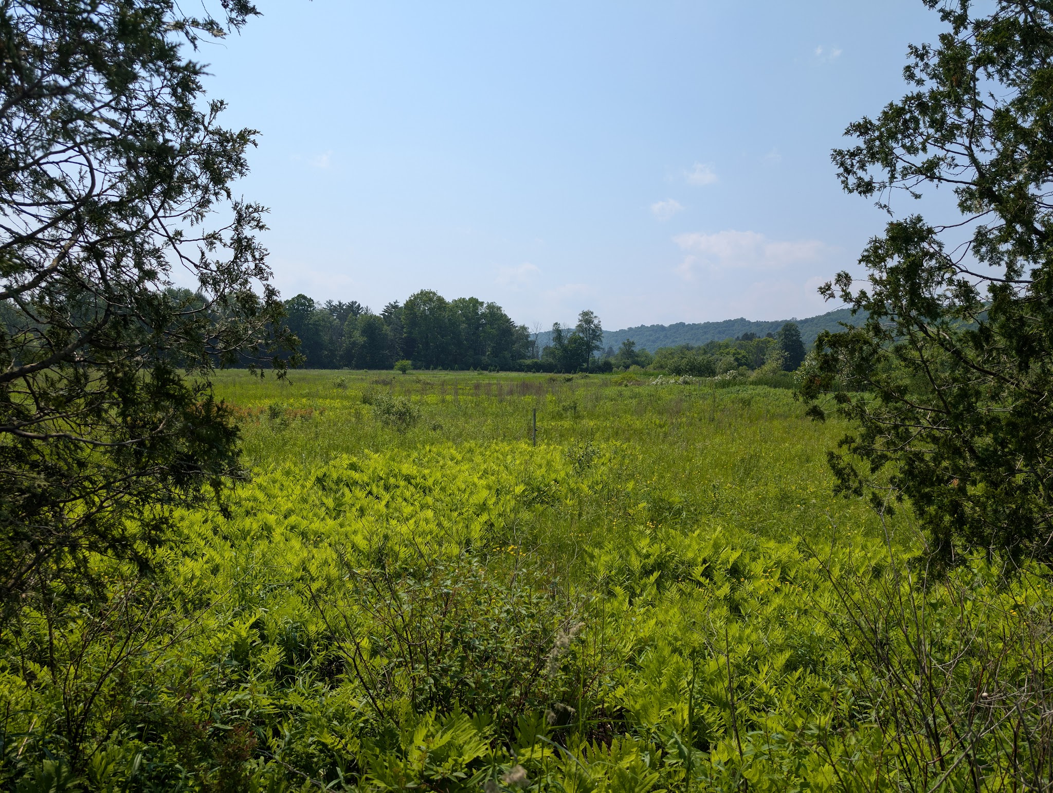 Pleasant Valley Preserve - Syracuse, NY