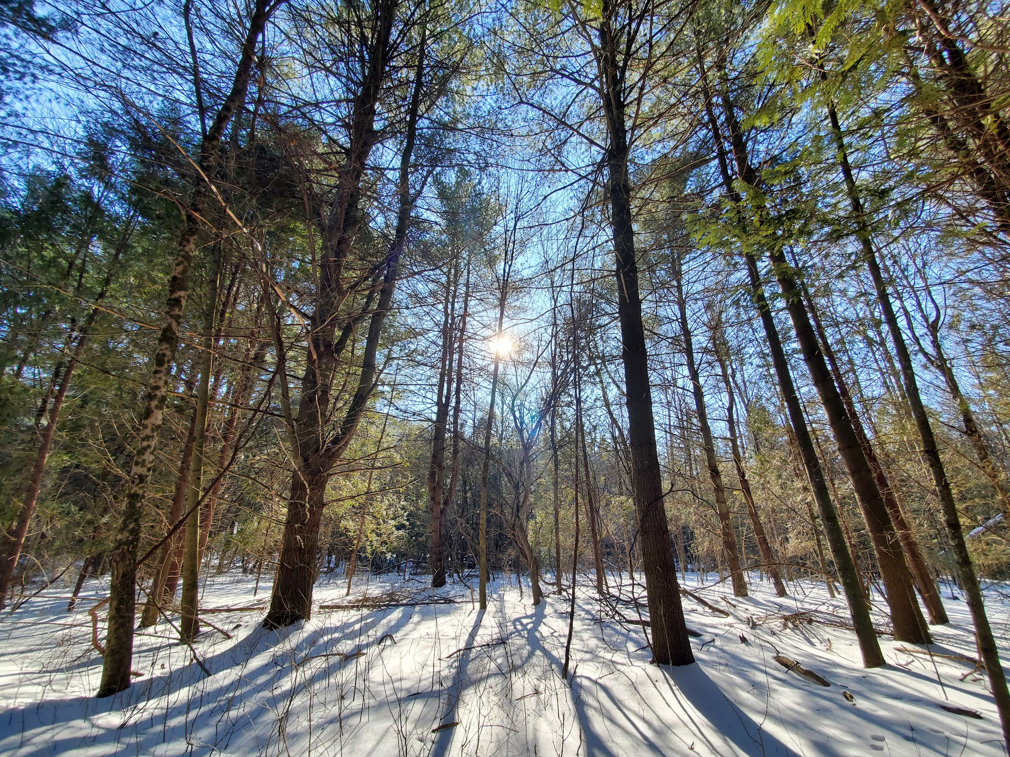 Pleasant Valley Preserve - Syracuse, NY