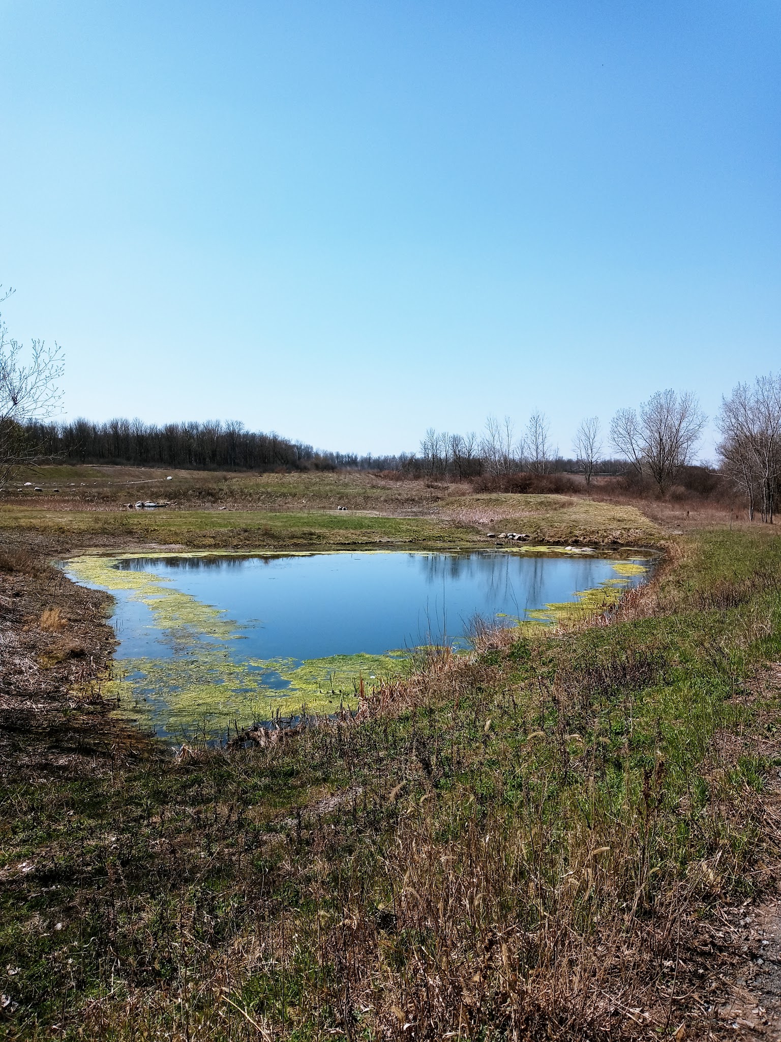 Reed Webster Park - Syracuse, NY