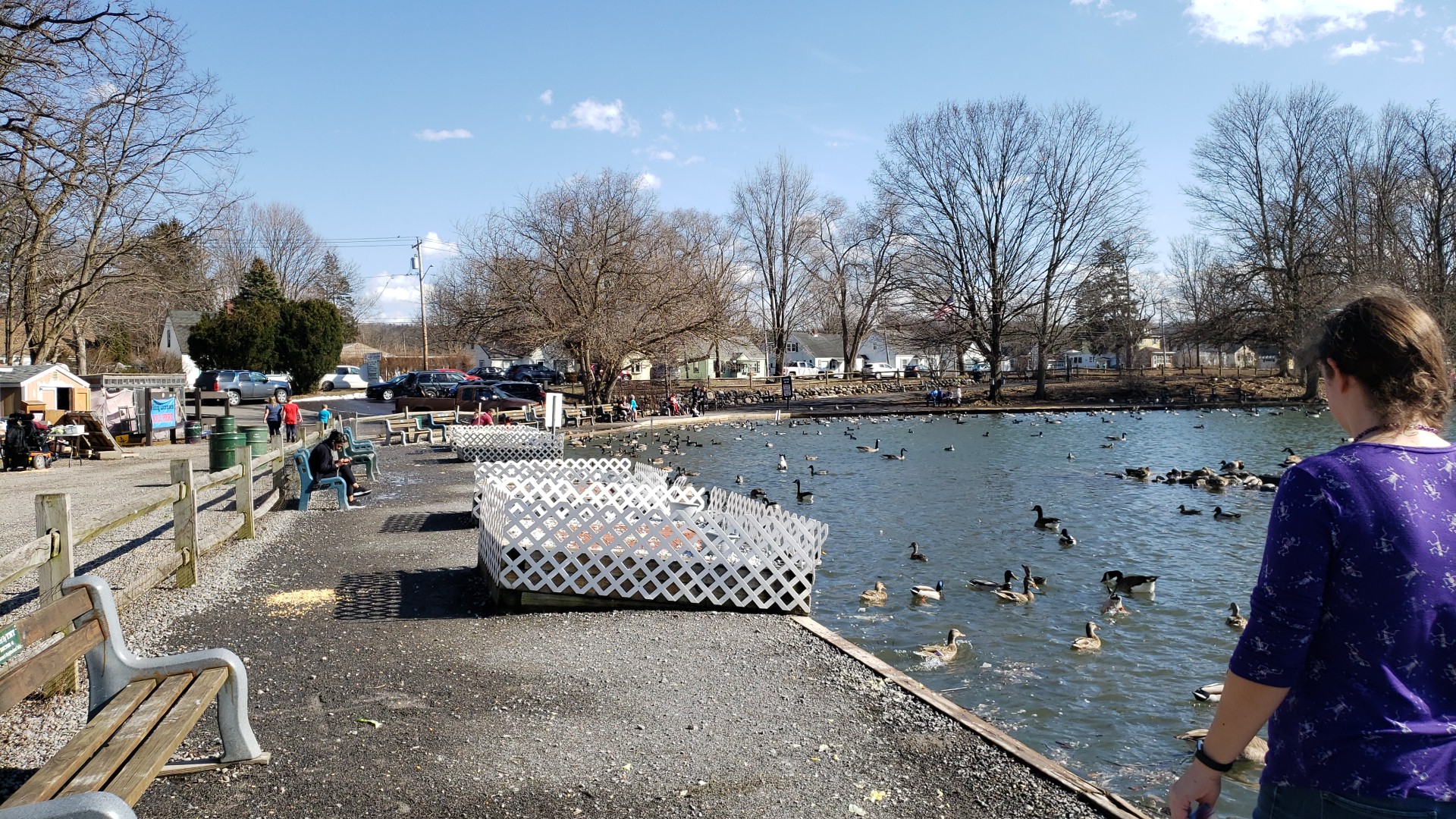 Reed Webster Park - Syracuse, NY