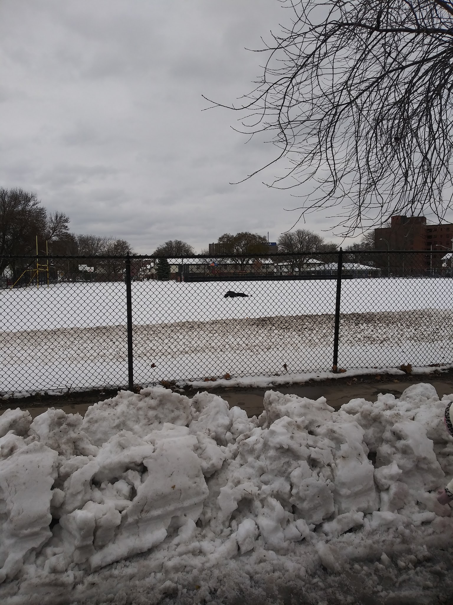 Skiddy Park - Syracuse, NY