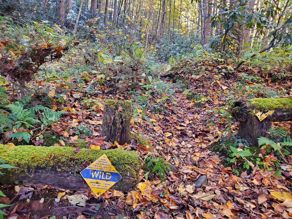 Snowbird Creek Trailhead - Tapoco, NC