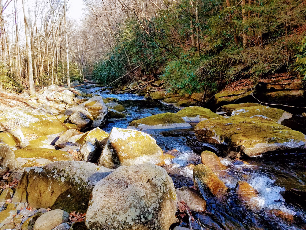 South Fork Citico Creek Trailhead - Tellico Plains, TN