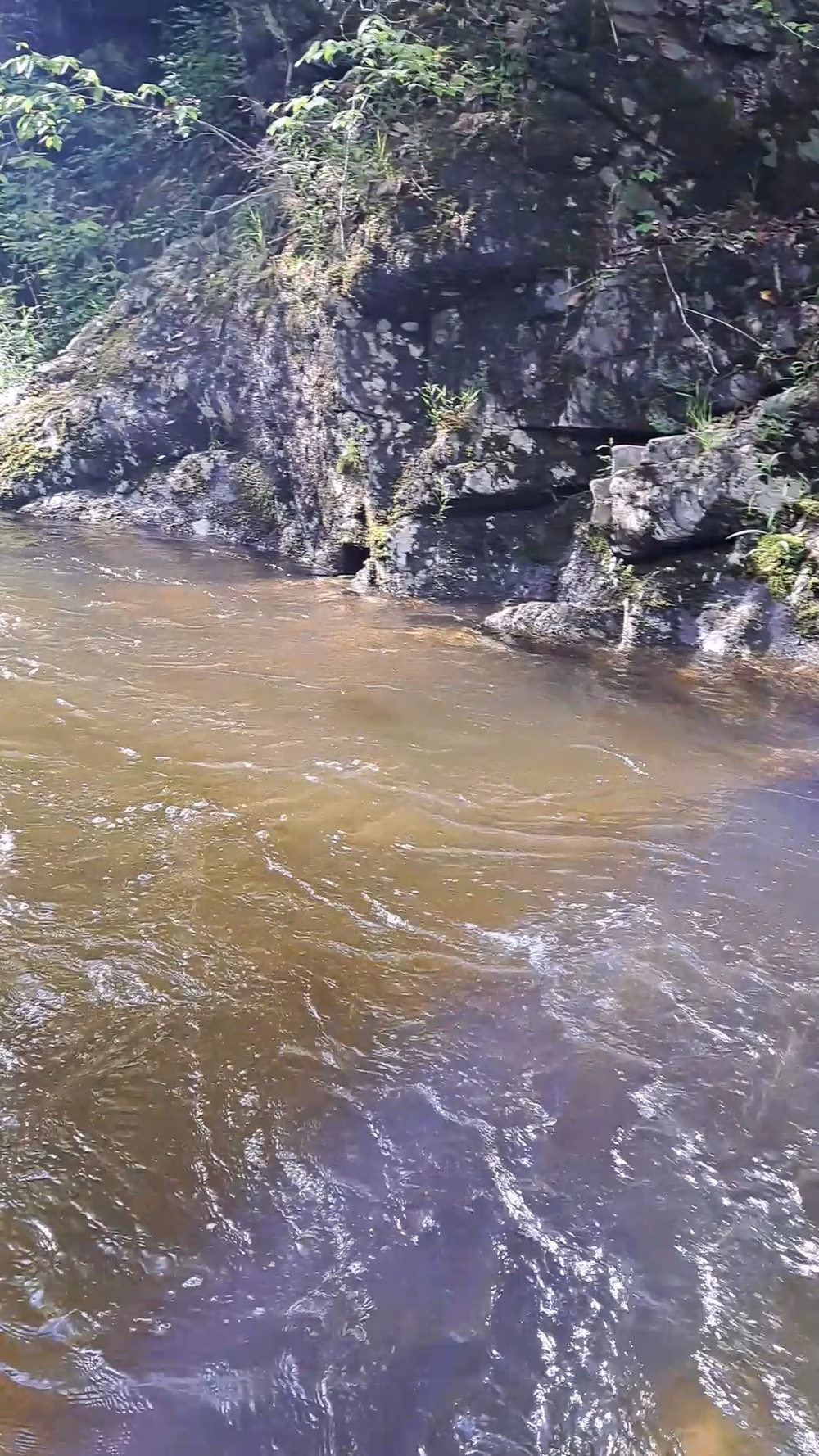 South Fork Citico Creek Trailhead - Tellico Plains, TN