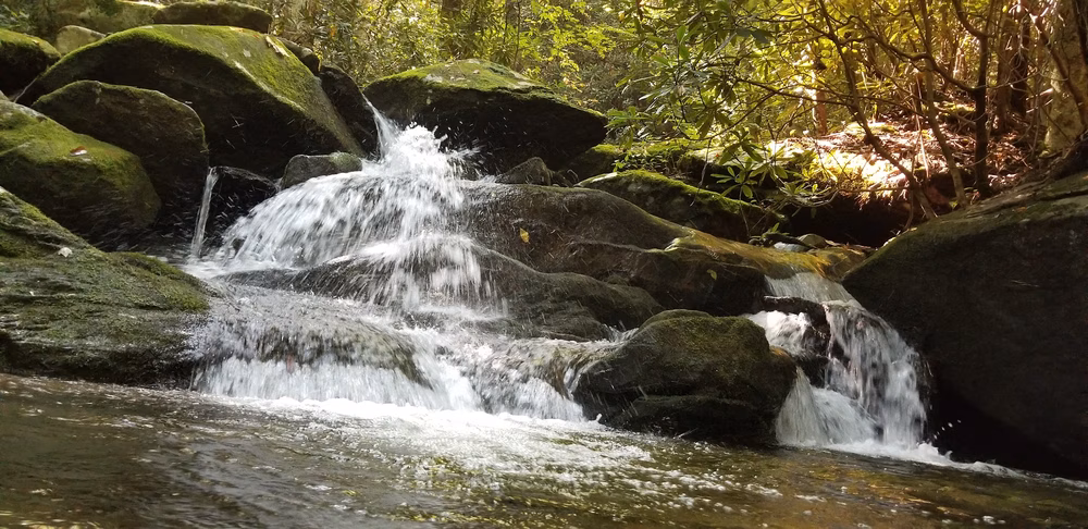 South Fork Citico Creek Trailhead - Tellico Plains, TN