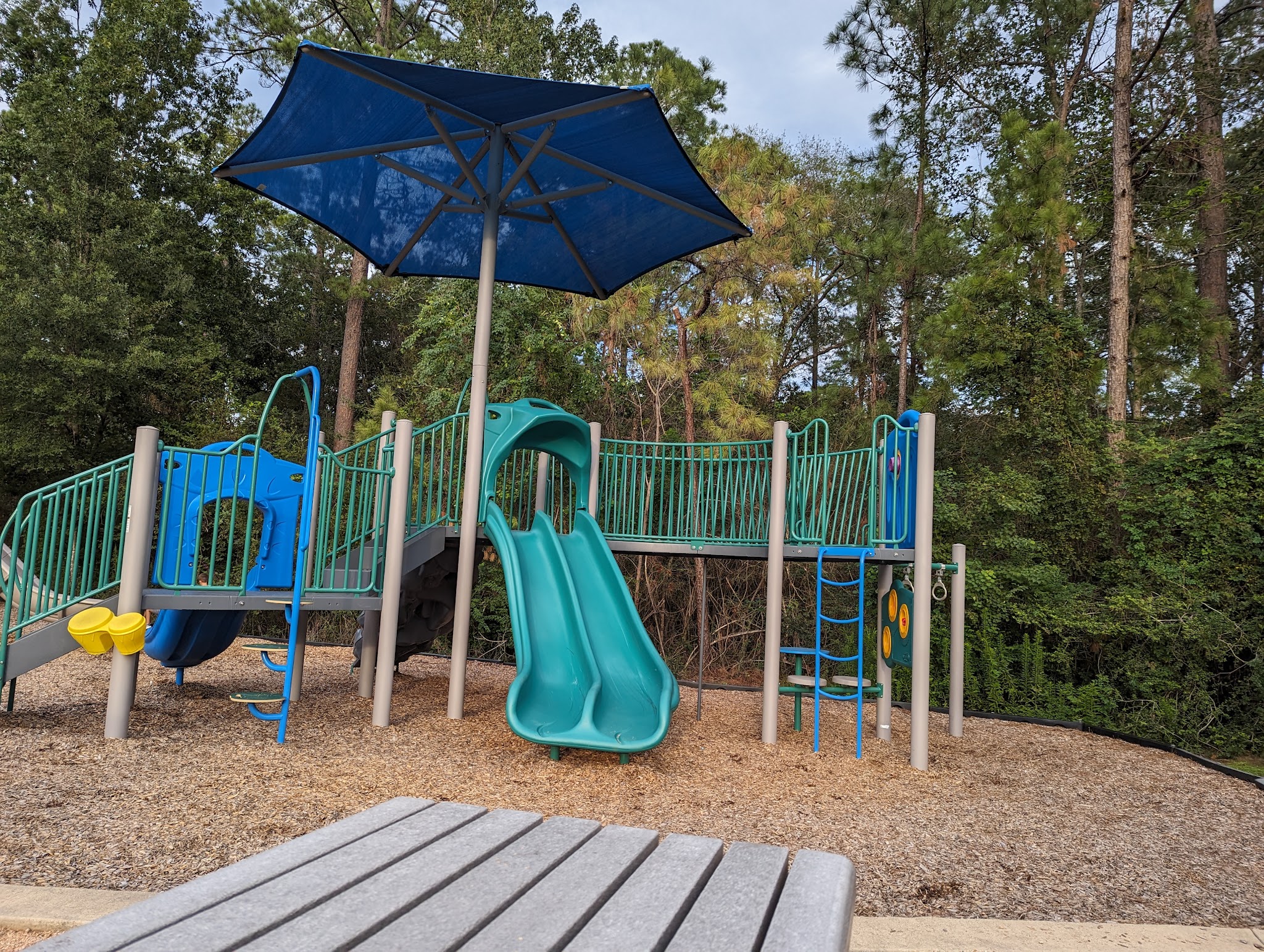 Cattail Park - The Woodlands, TX